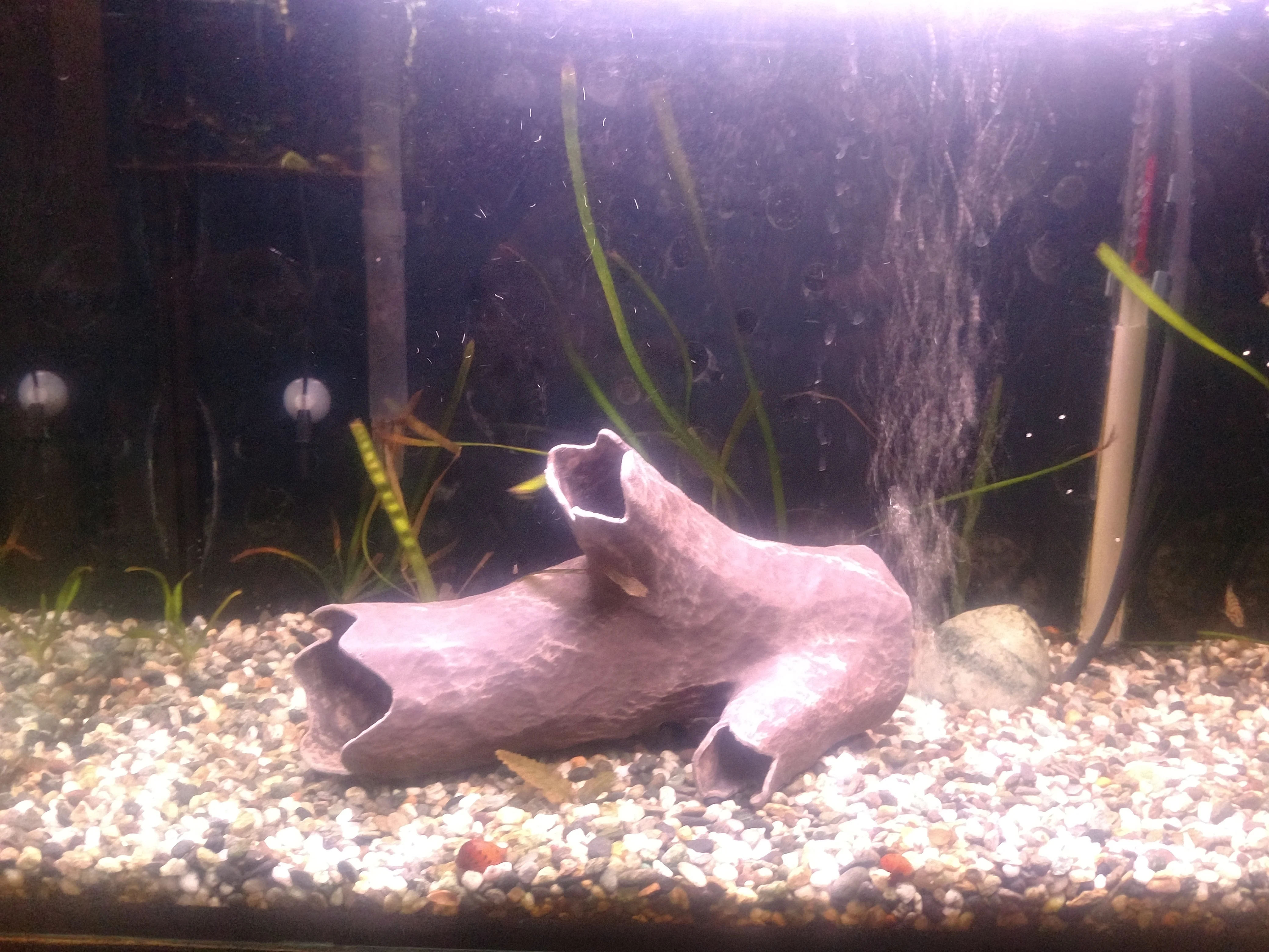 Aquarium Decoration - Wood Textured Branching Stick Cave - Large