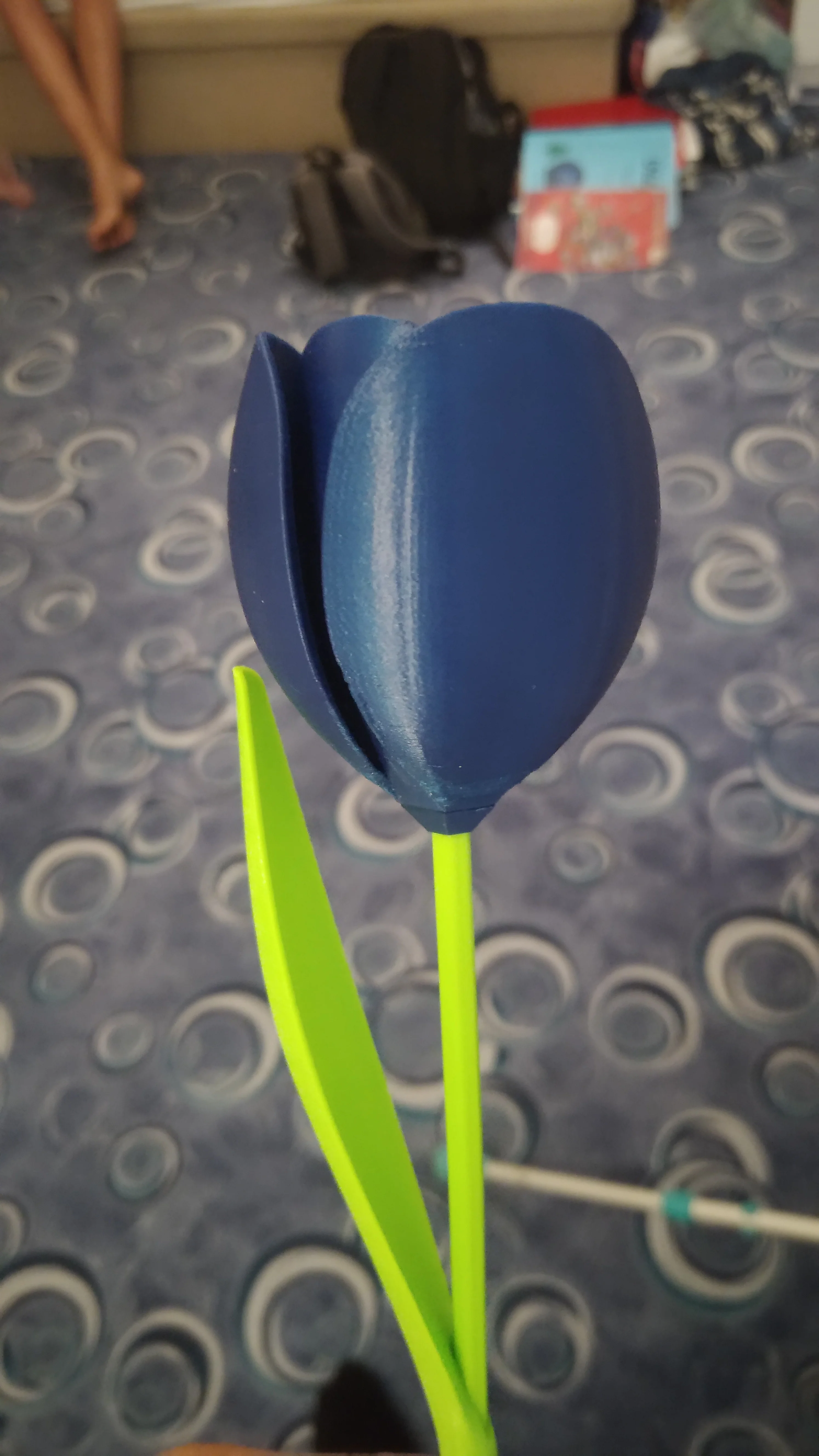 Tulip
