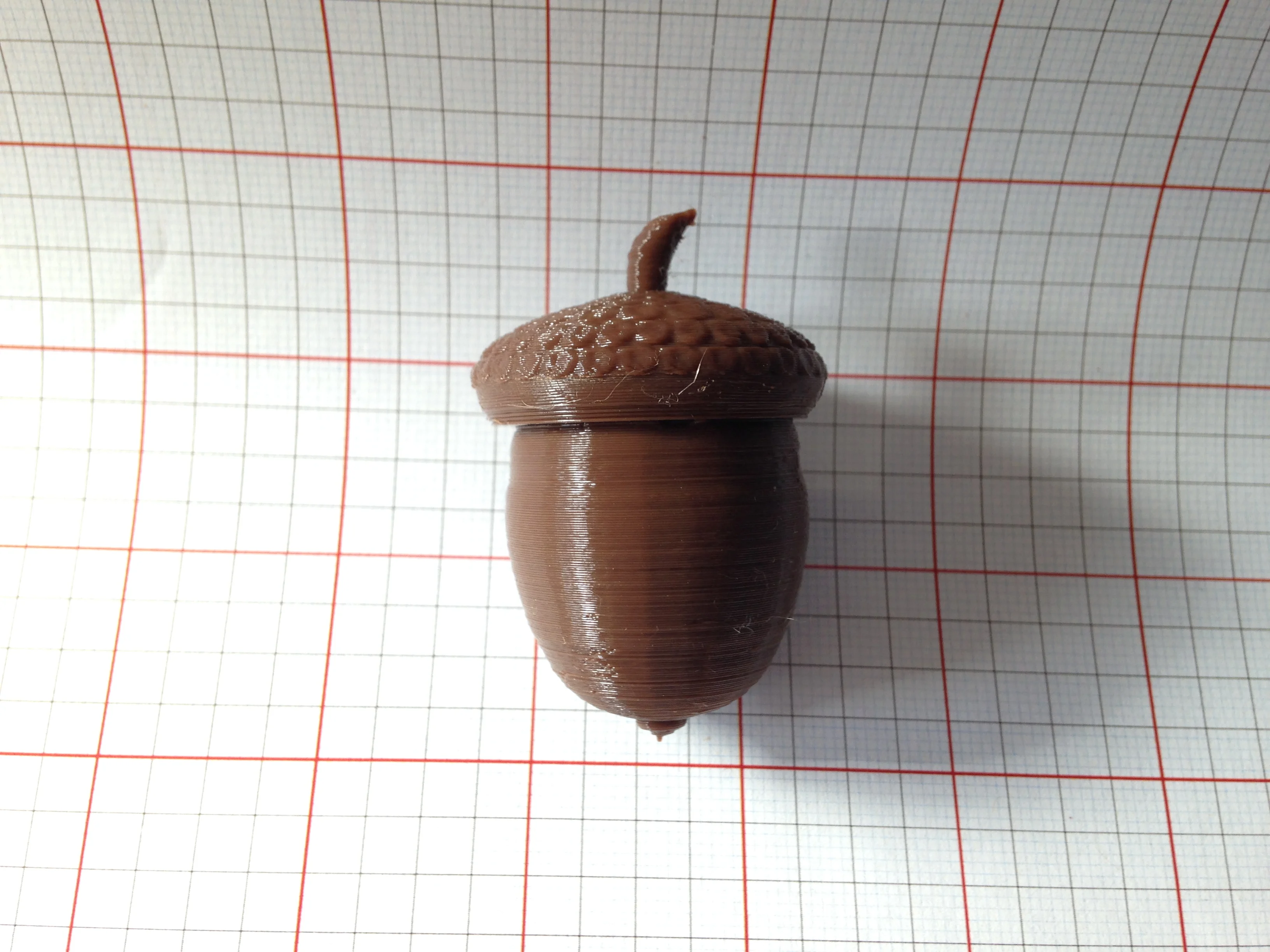 Acorn