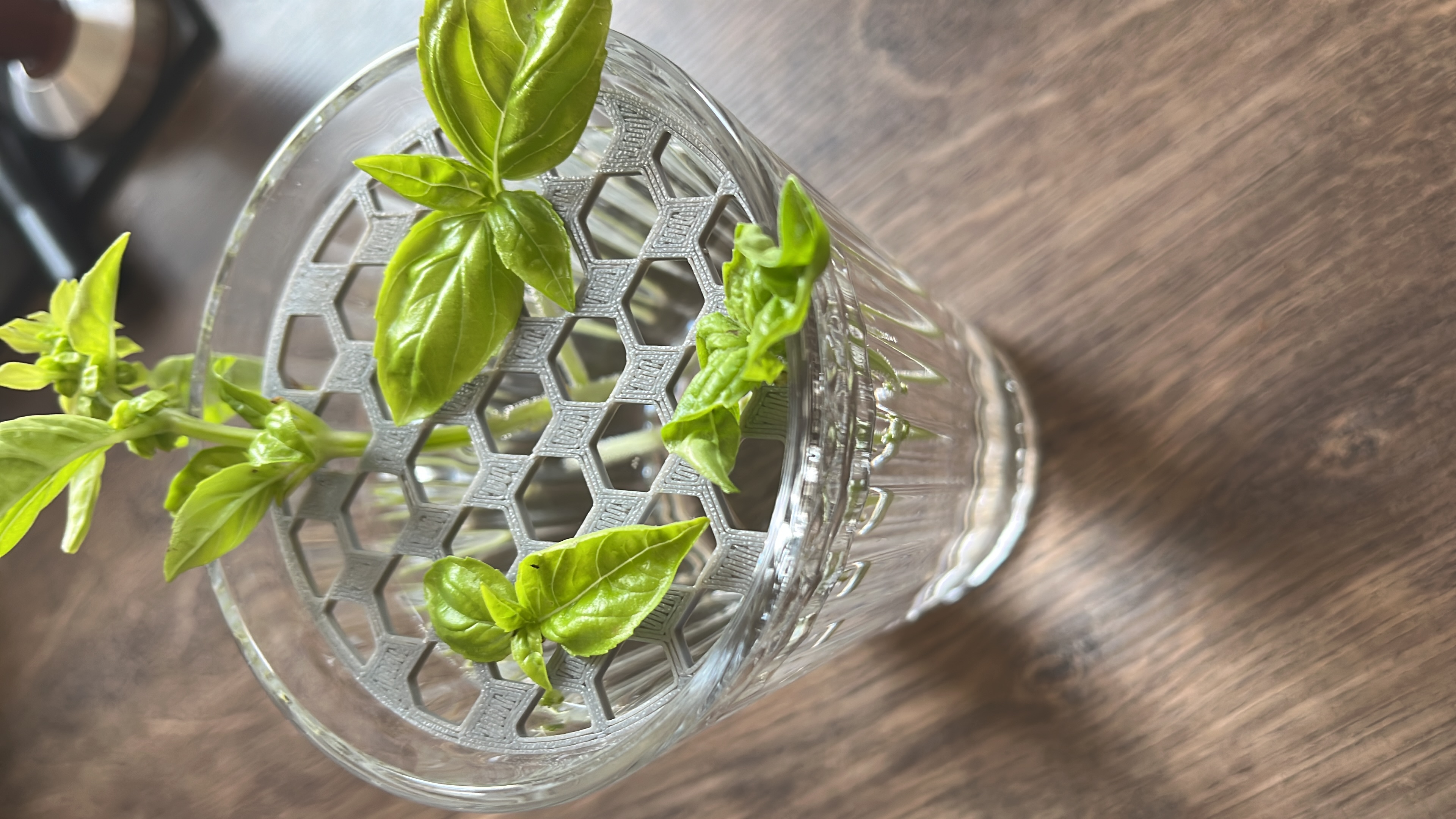 Plant root IKEA glass watering support
