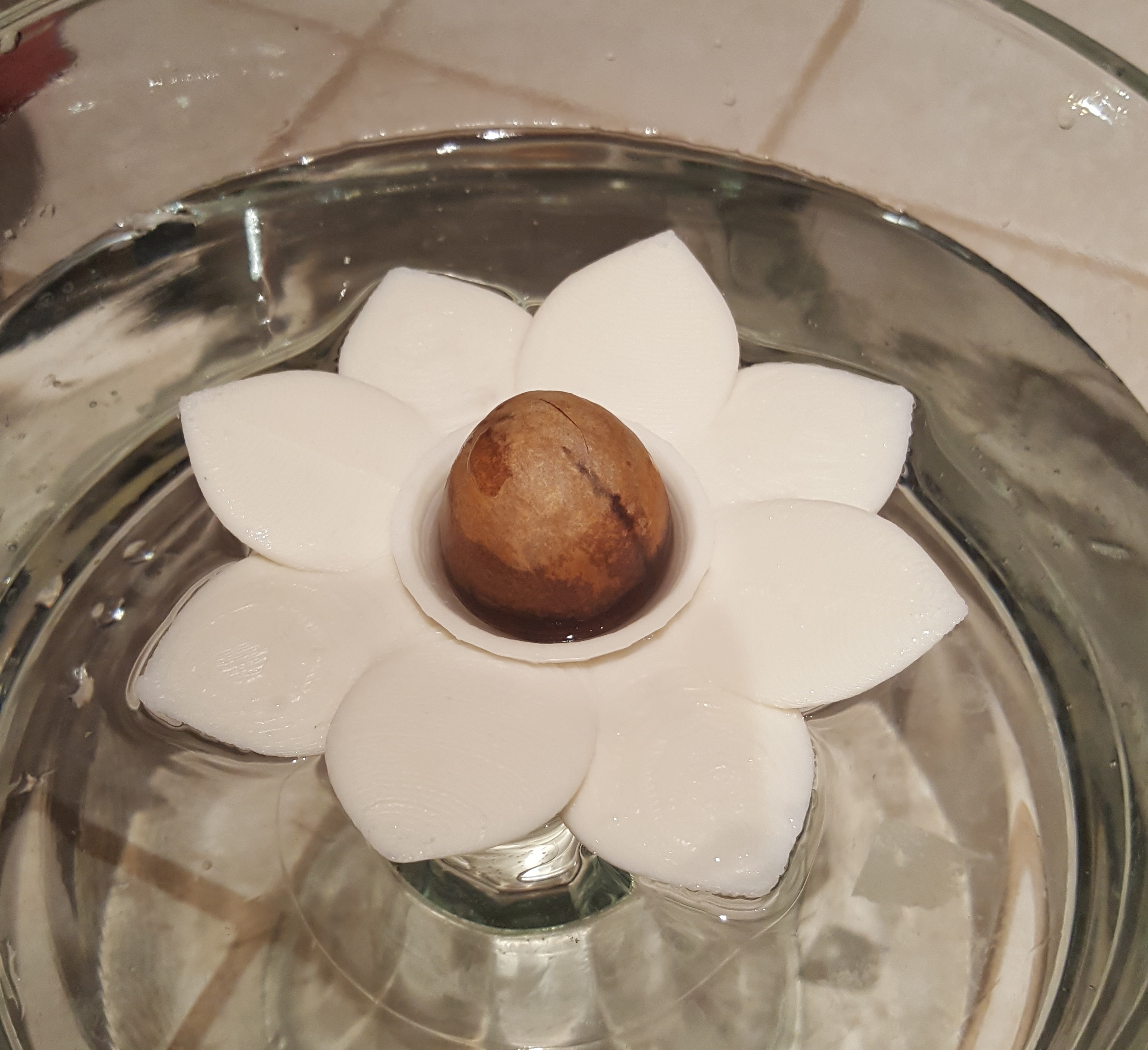 Avocado Flower Boat
