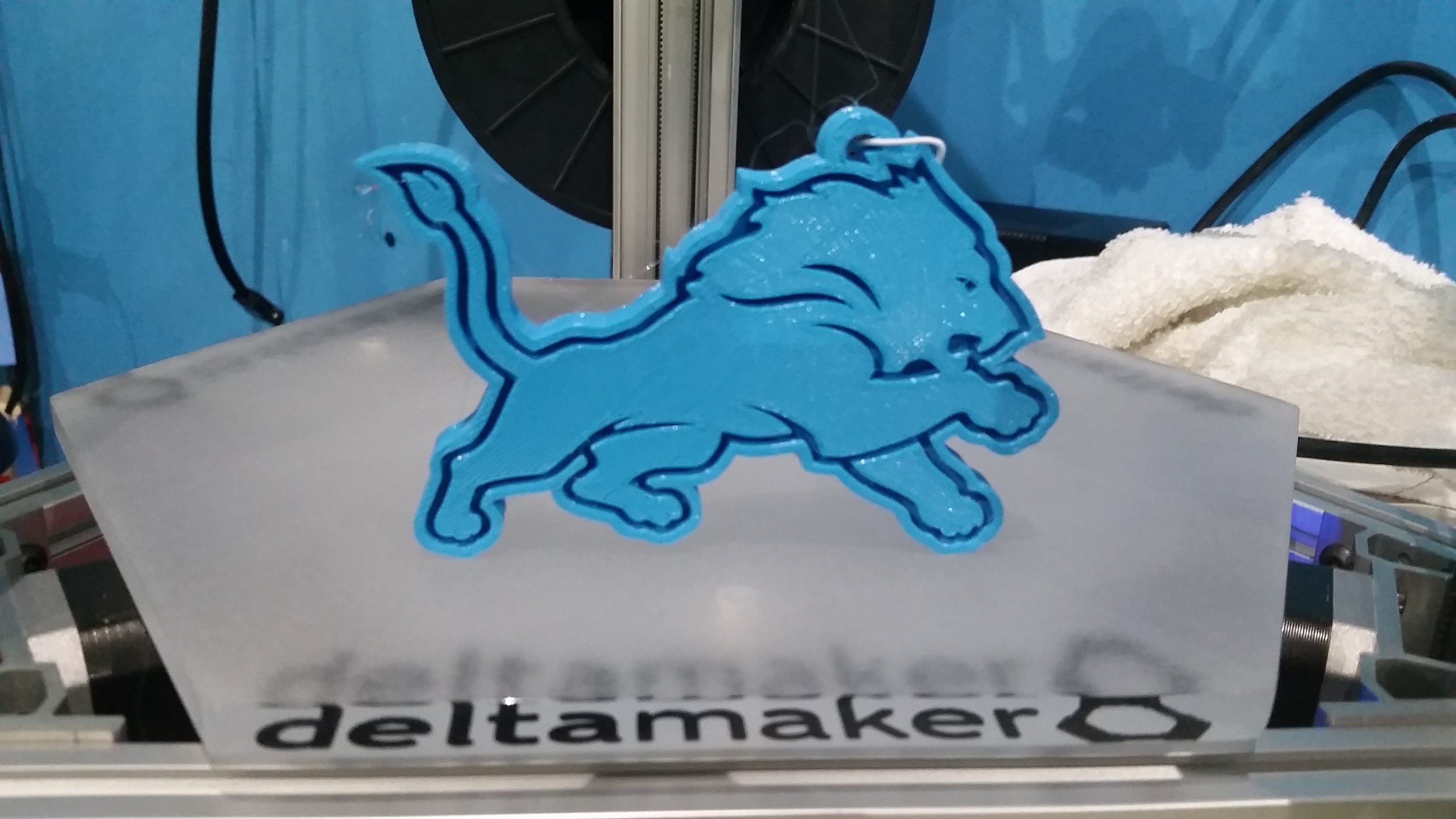 Detroit Lions Wall Hanger
