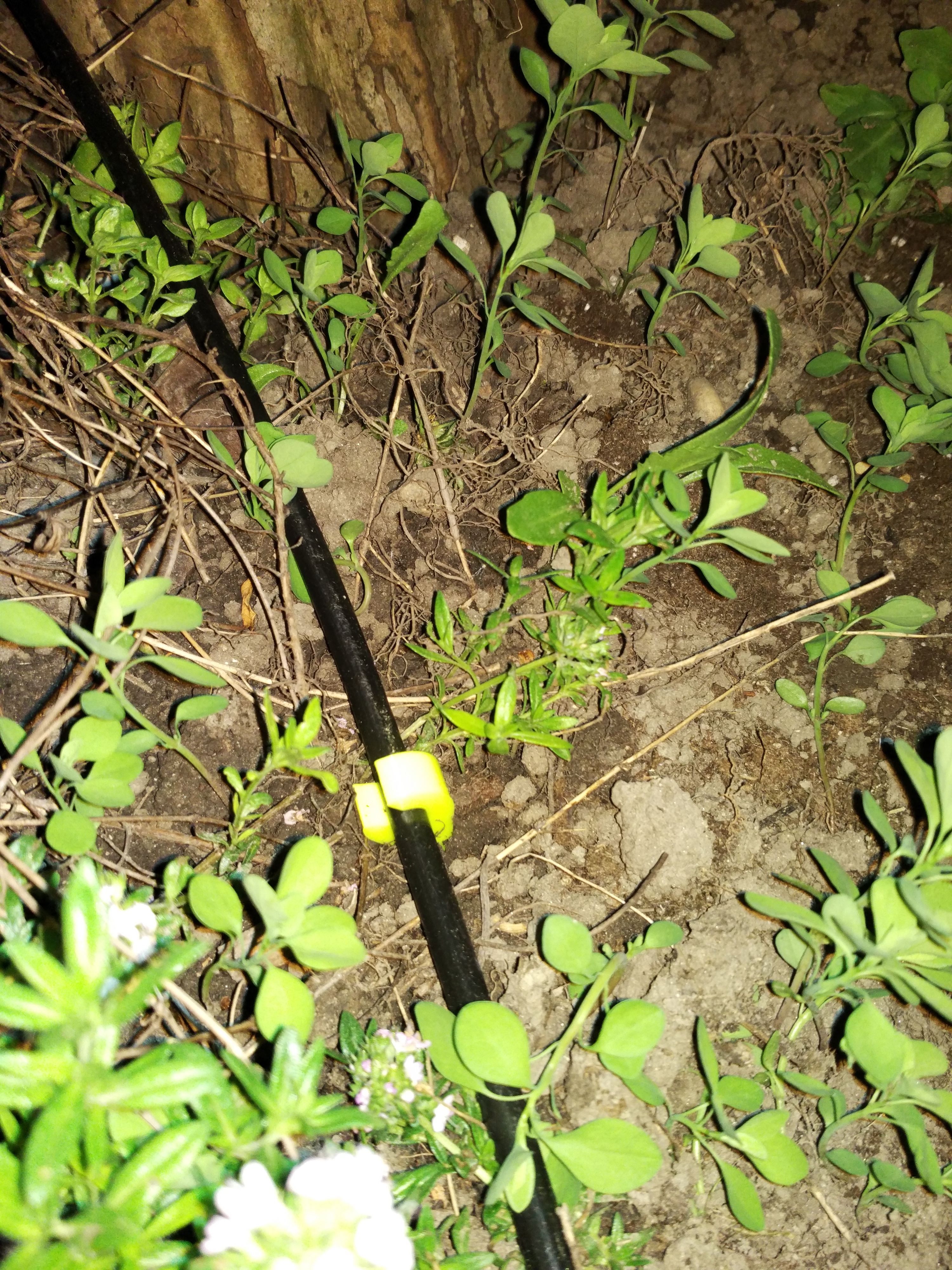 Gardena Micro drip holder