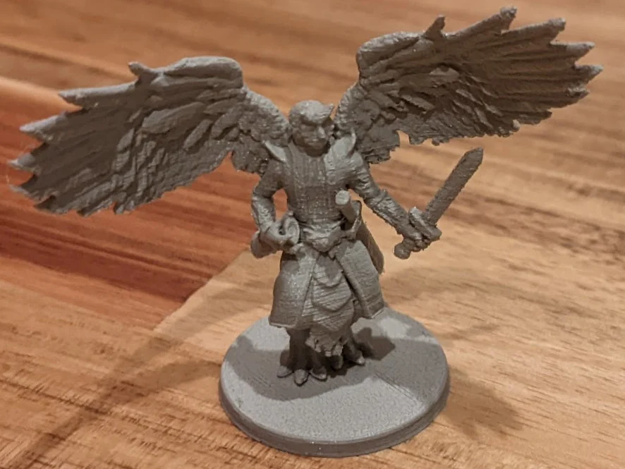 DnD Owlfolk Rogue