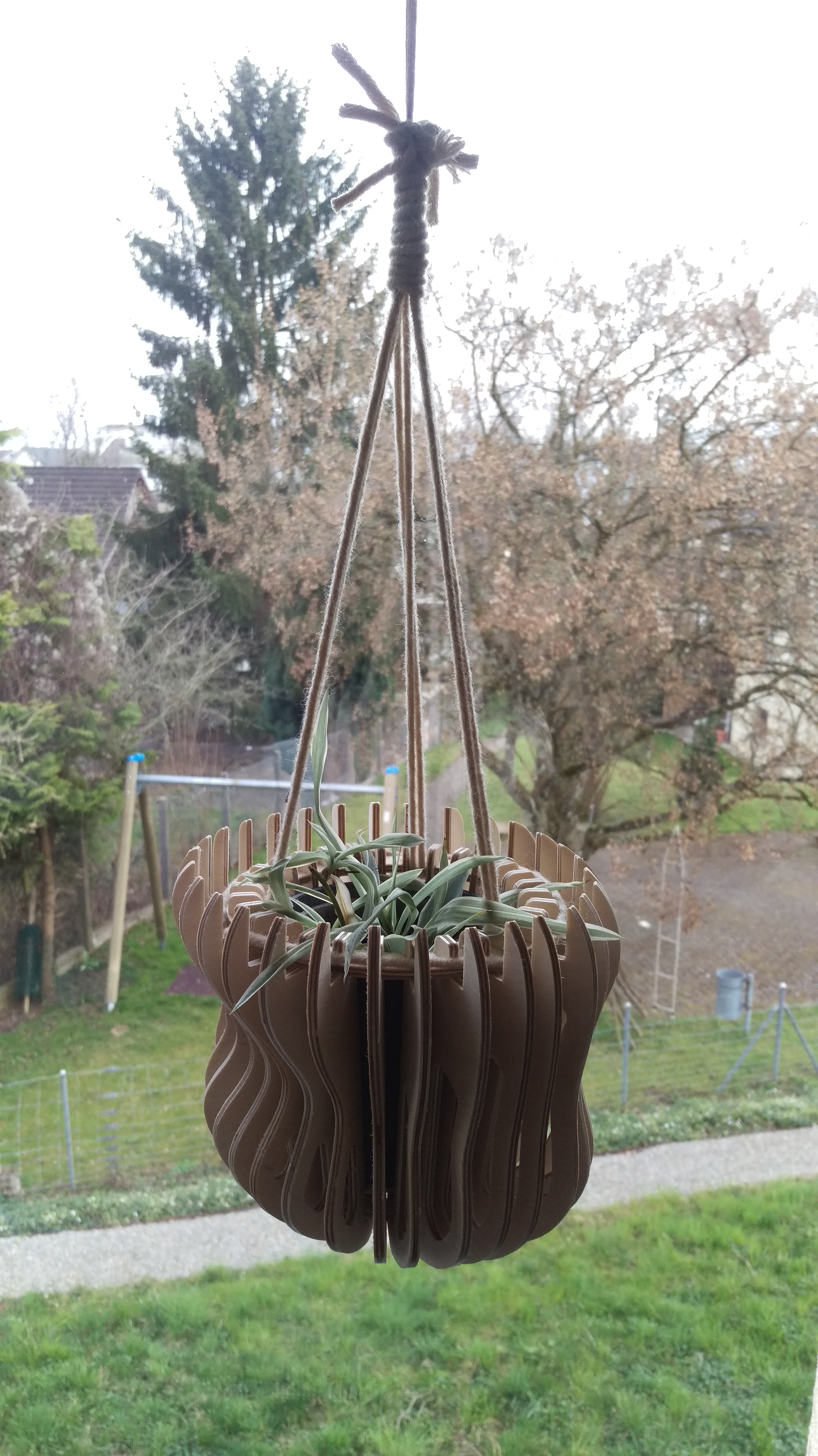 Plantcarrier