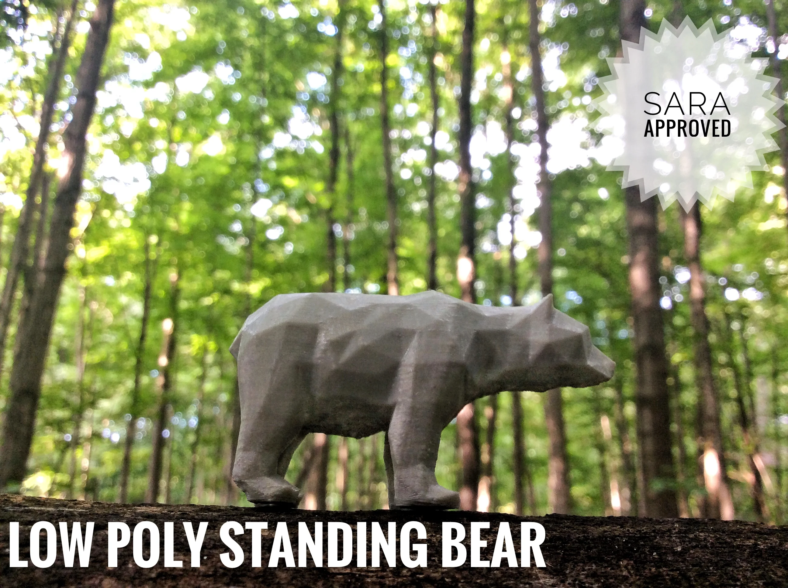 Molly the Low Poly Bear