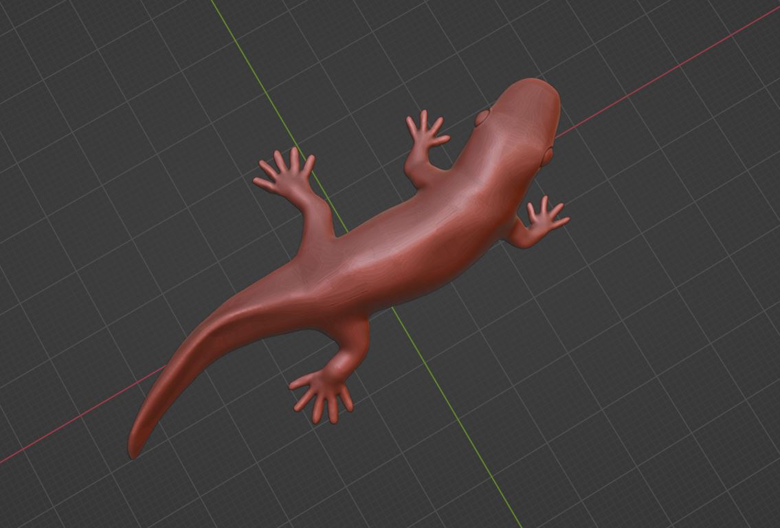 Salamander/Newt