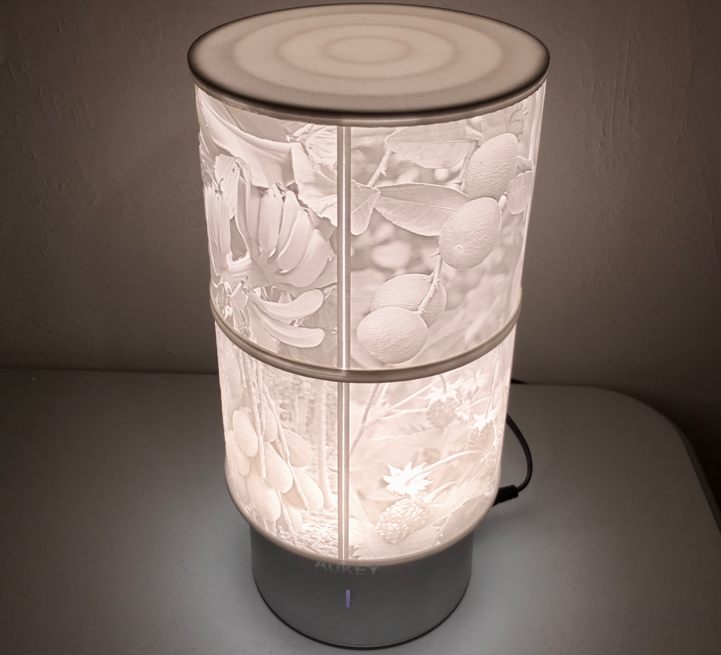 Lithophane Photo Lamp