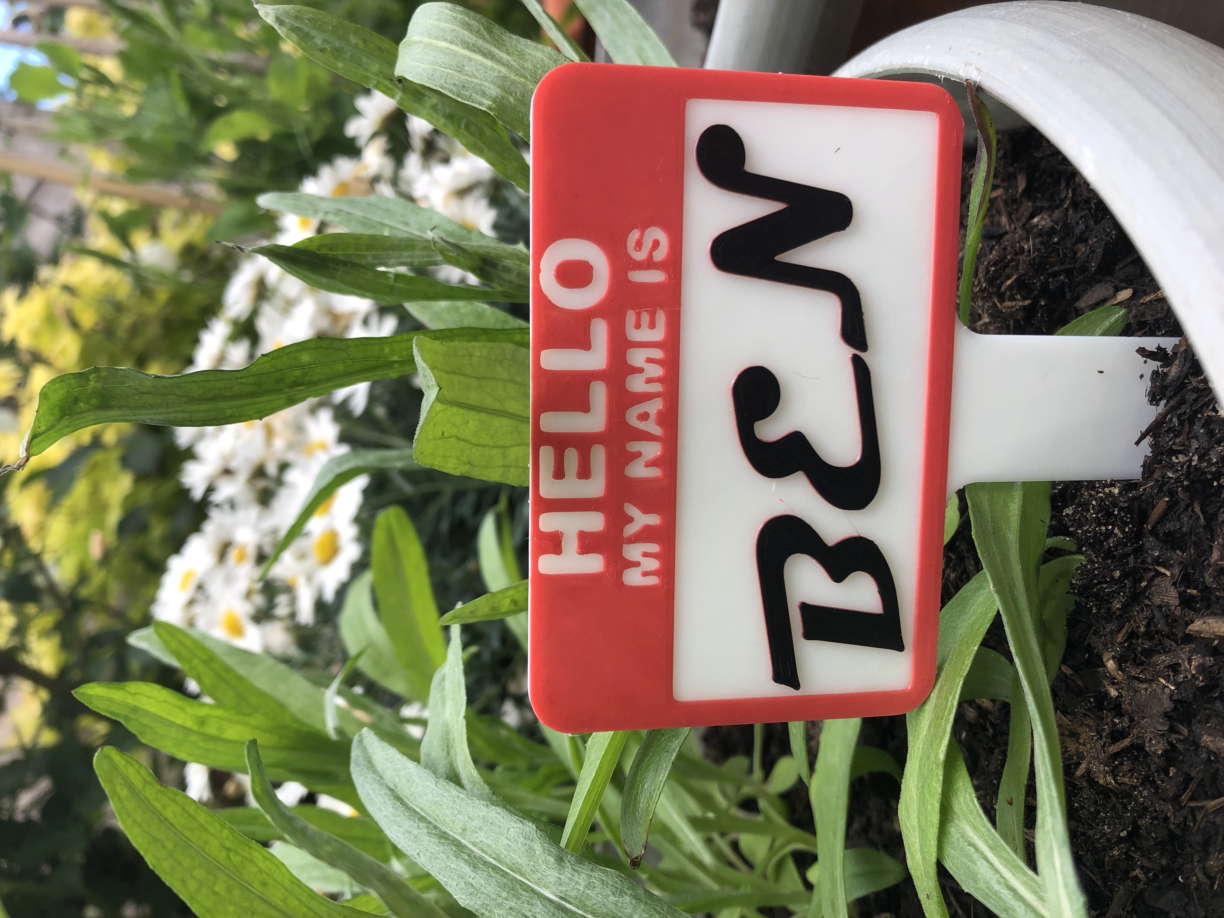 'Hello My Name Is' customisable plant name tag