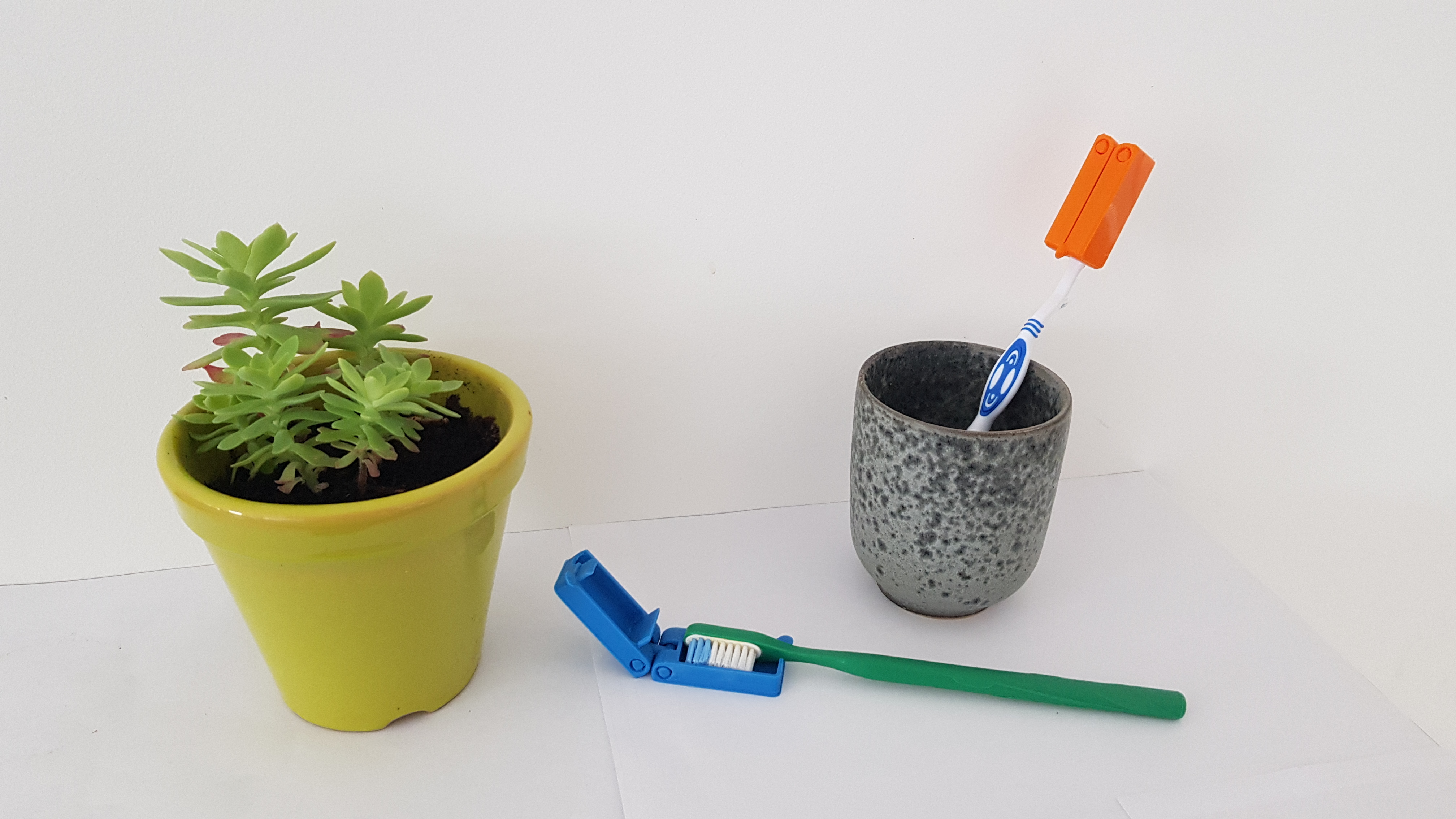 Hinged Toothbrush Cover