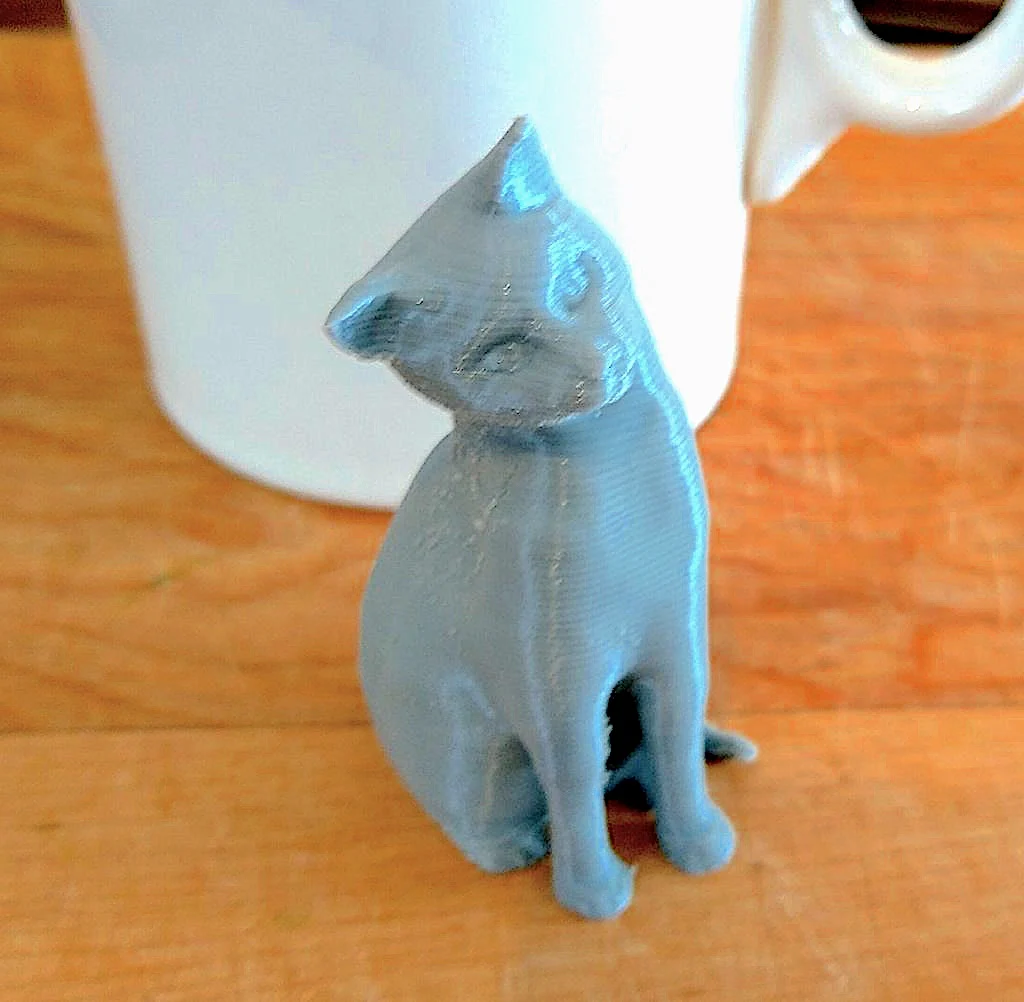 Seated Curious Cat