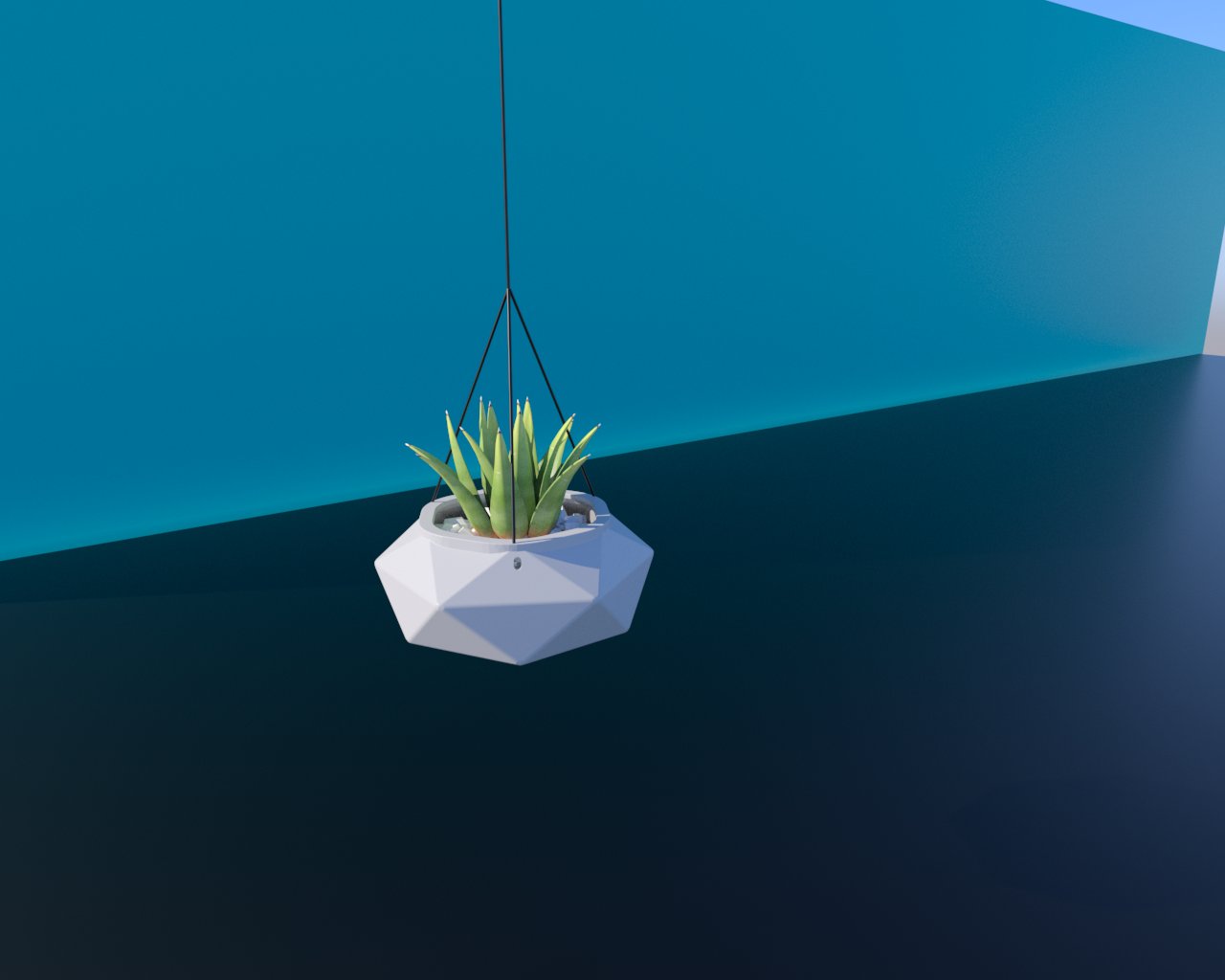 Hanging Plantpot