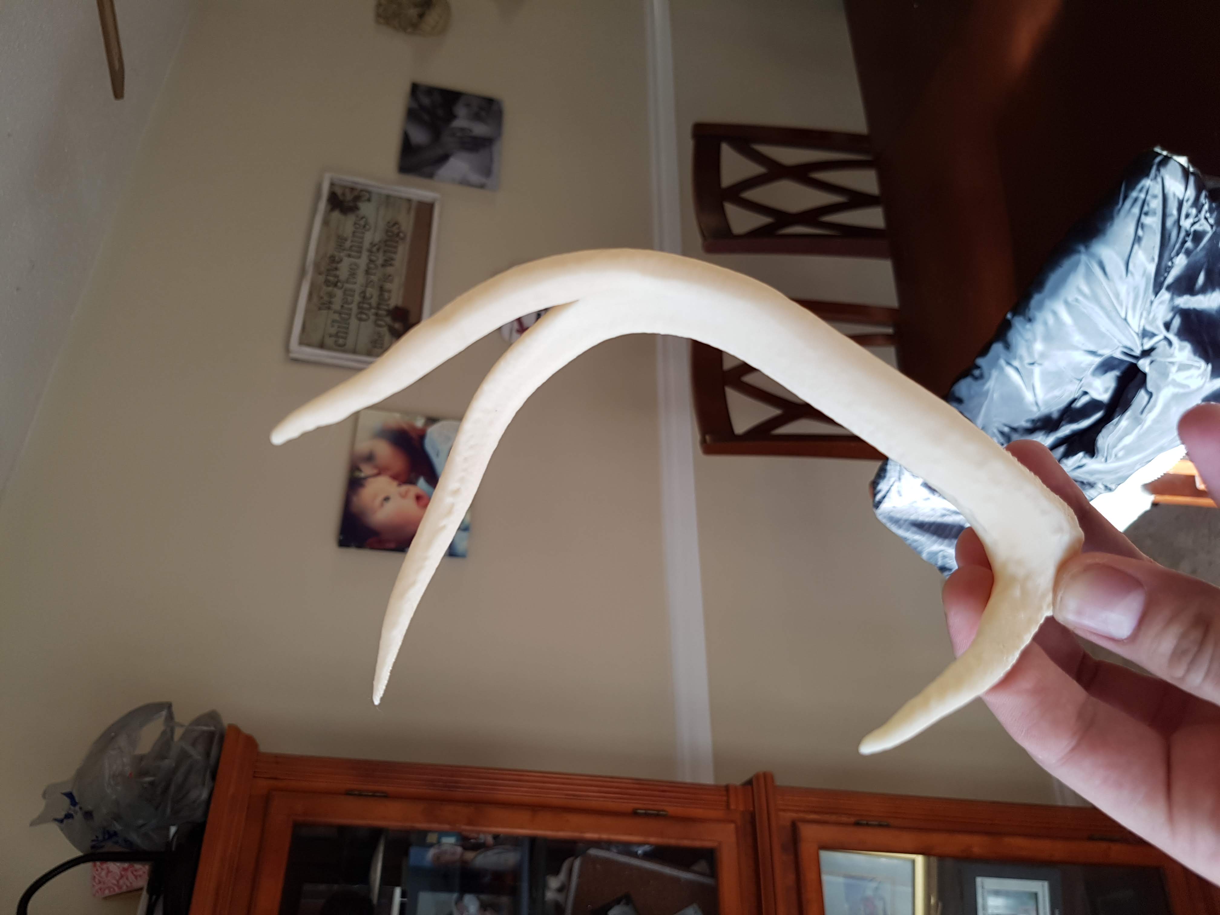Antlers Remix