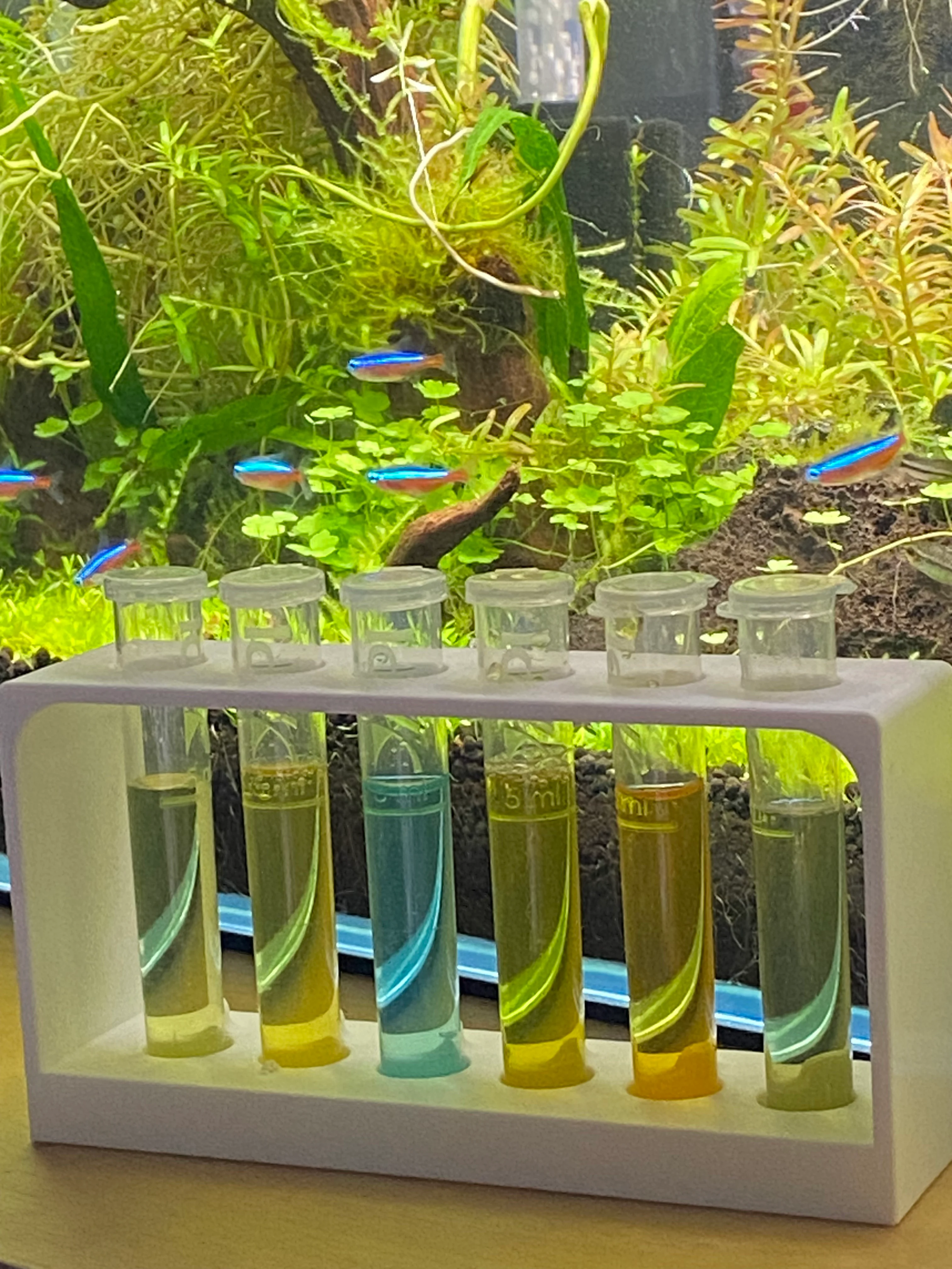 API Test Tube Rack