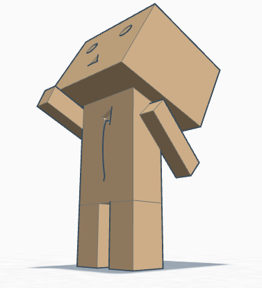 Amazon Person