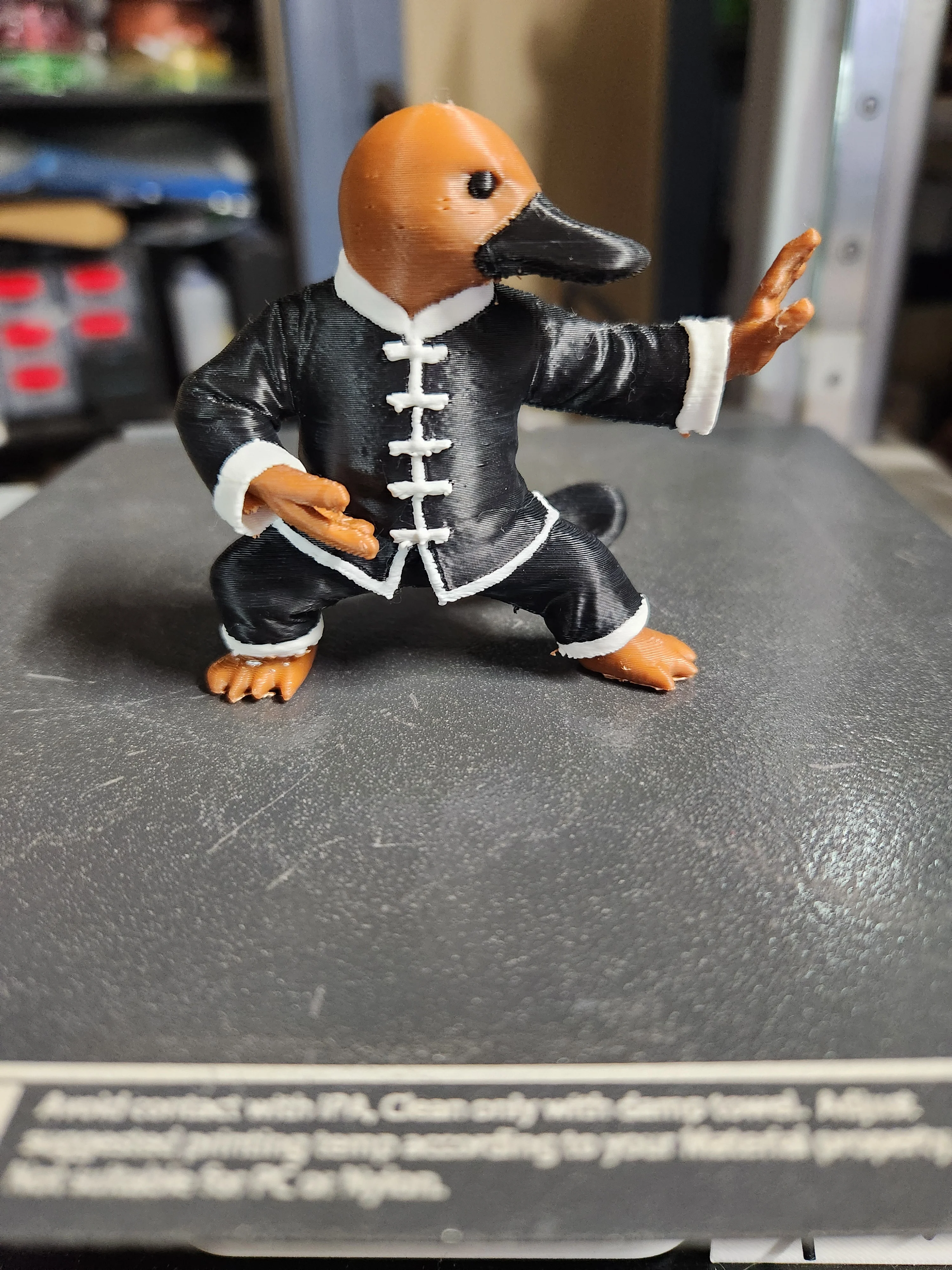 Tai Chi Platypus