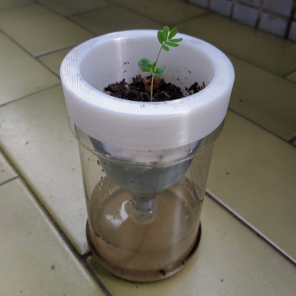 Self-Watering Planter - Reuse Peanut Butter Jar