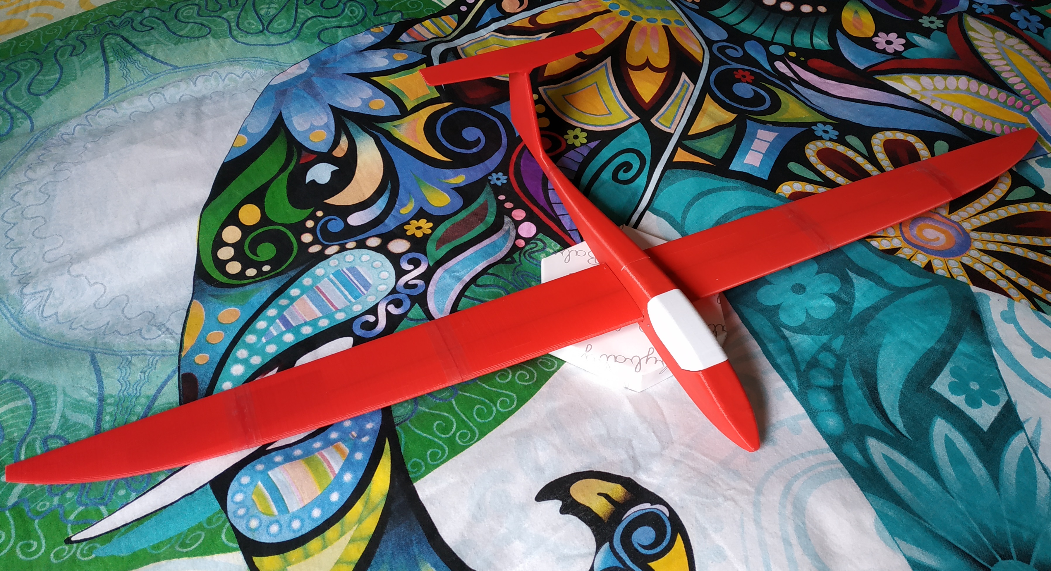 rc GLIDER - SZD-55 / Nexus 900 - rotowing system - super fun!
