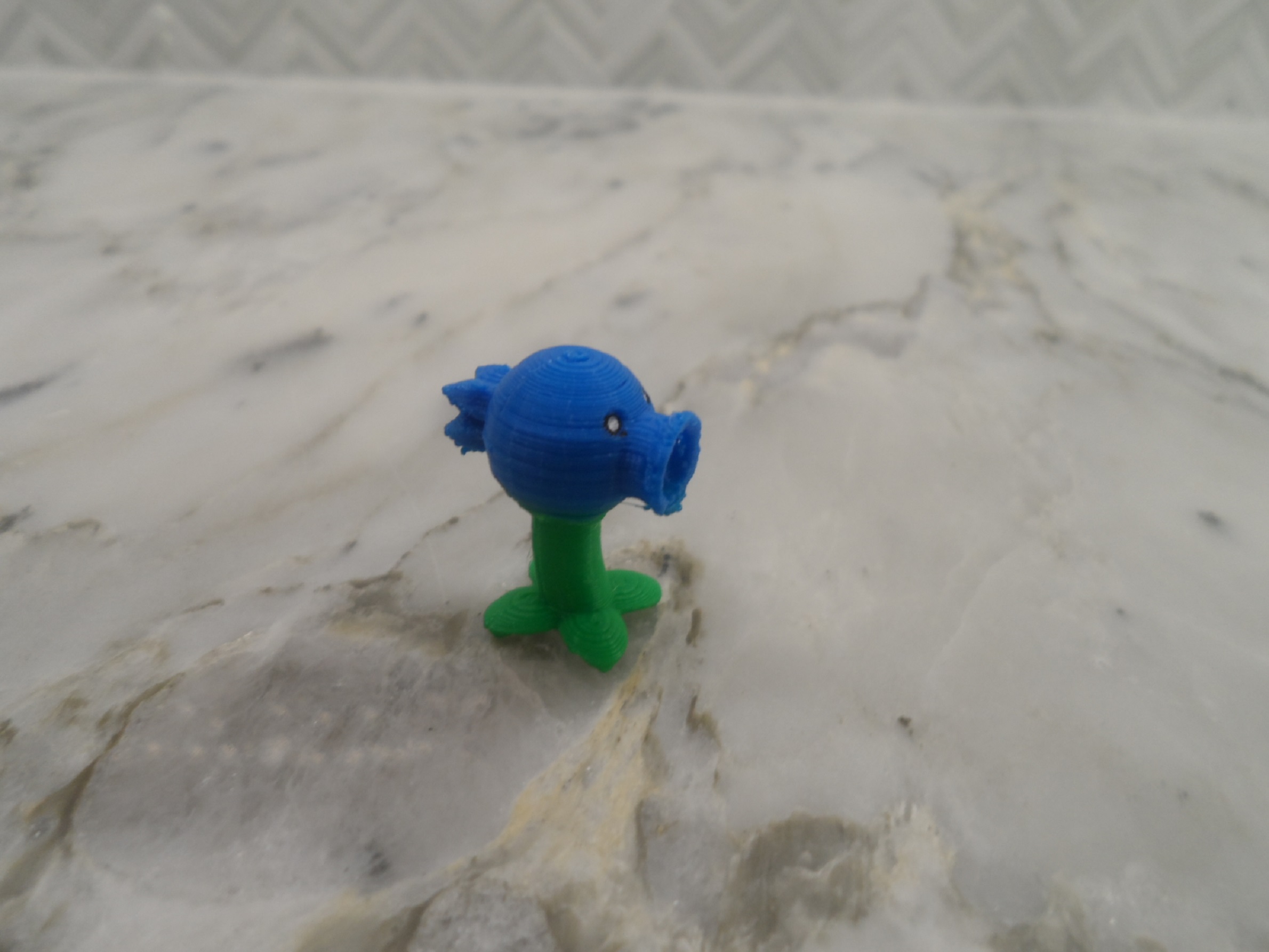 Snow pea