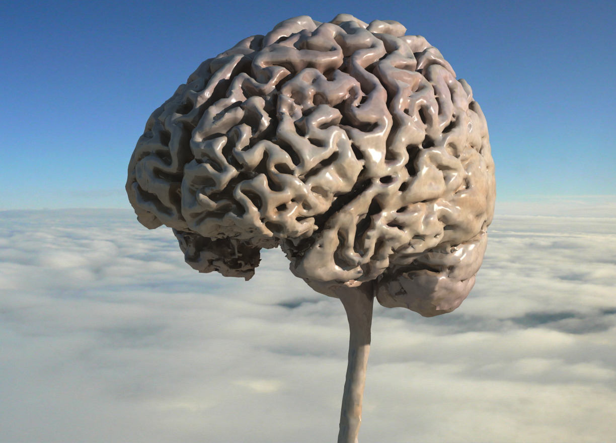 My brain; scanned from an MRI