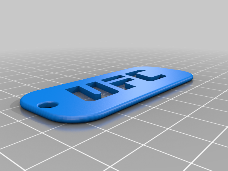 UFC KeyChain