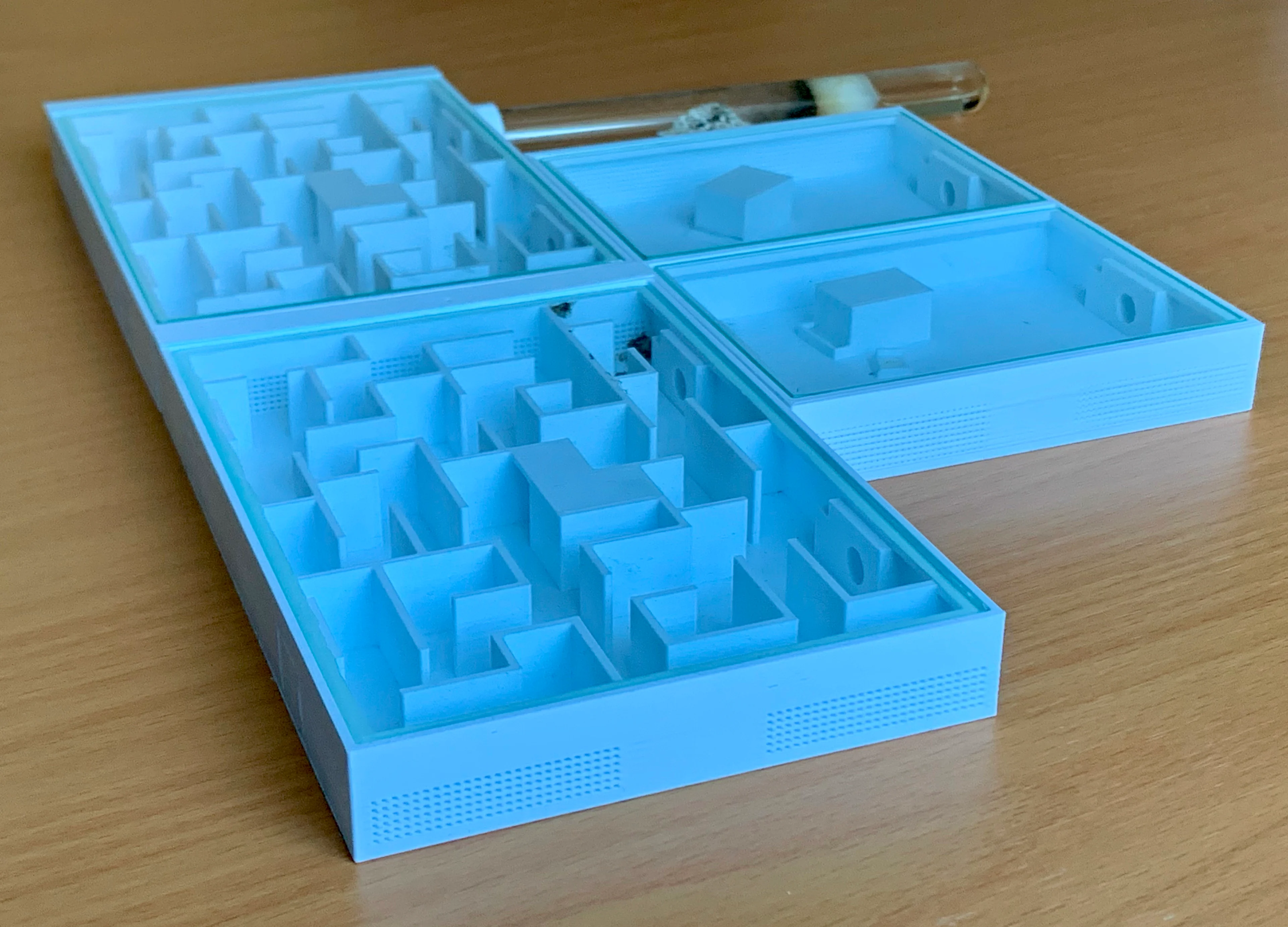 Modular Formicarium (Ant Nest)