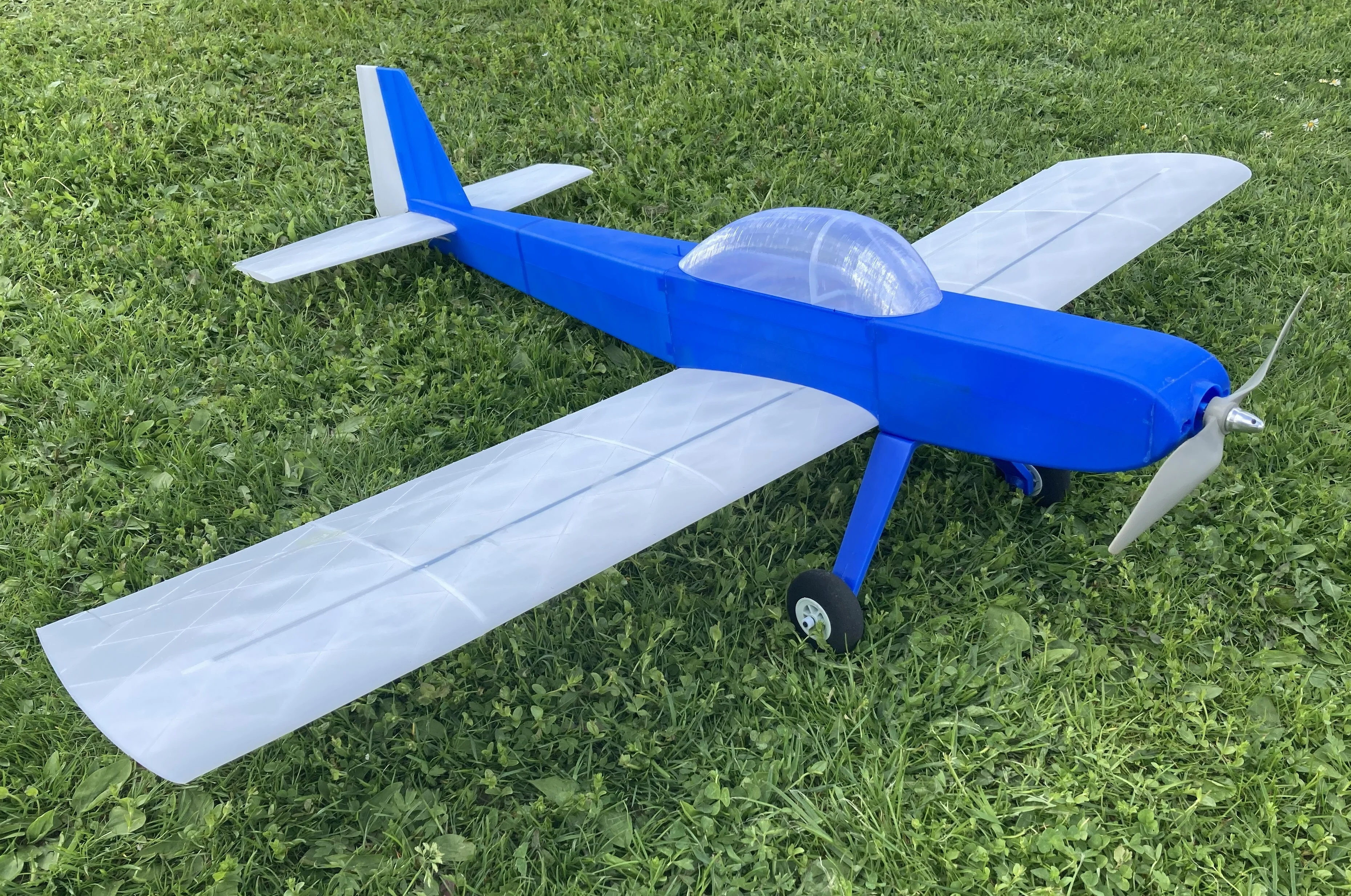 Charliet RC Plane for Sports & Aerobatic Flying - 3D Printed