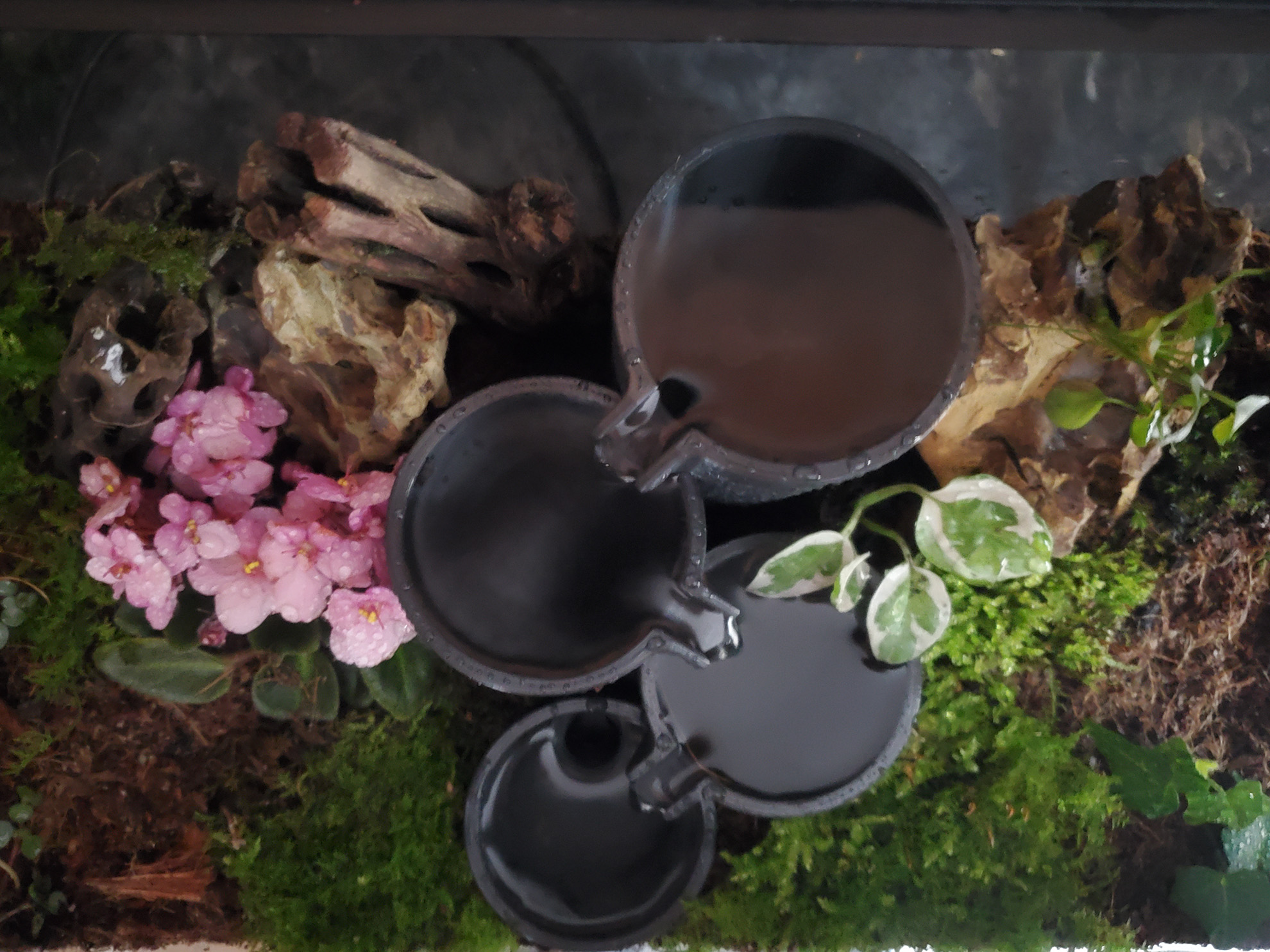 Terrarium fountain waterfall