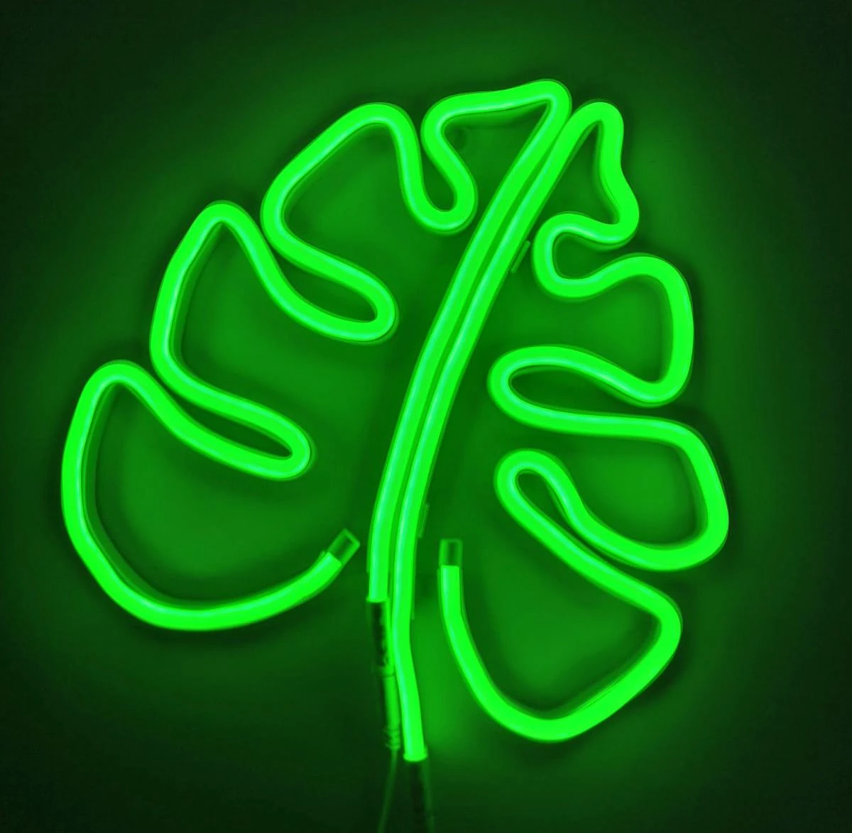 Tropical Leaf Neon