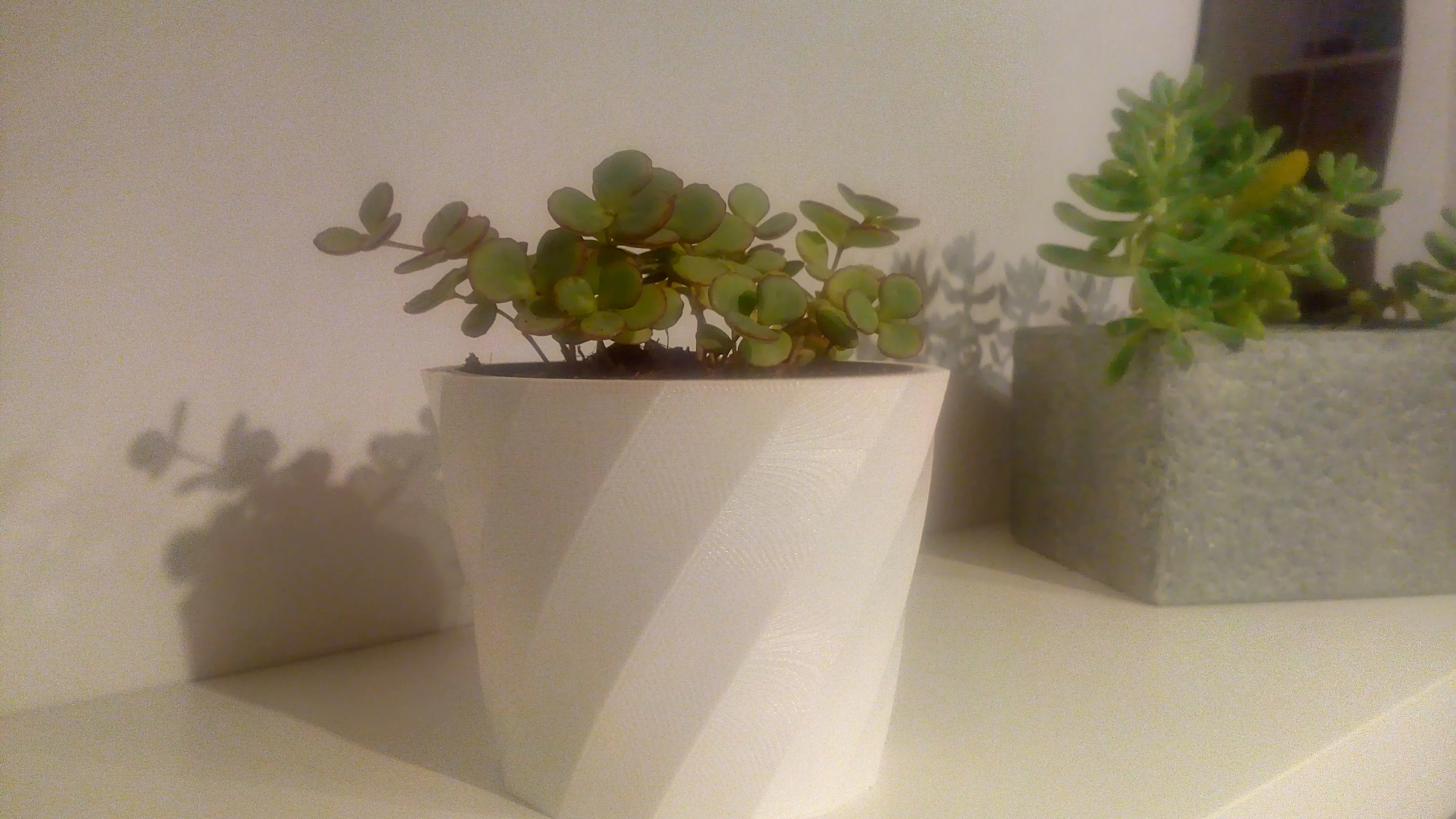 Parametric planter