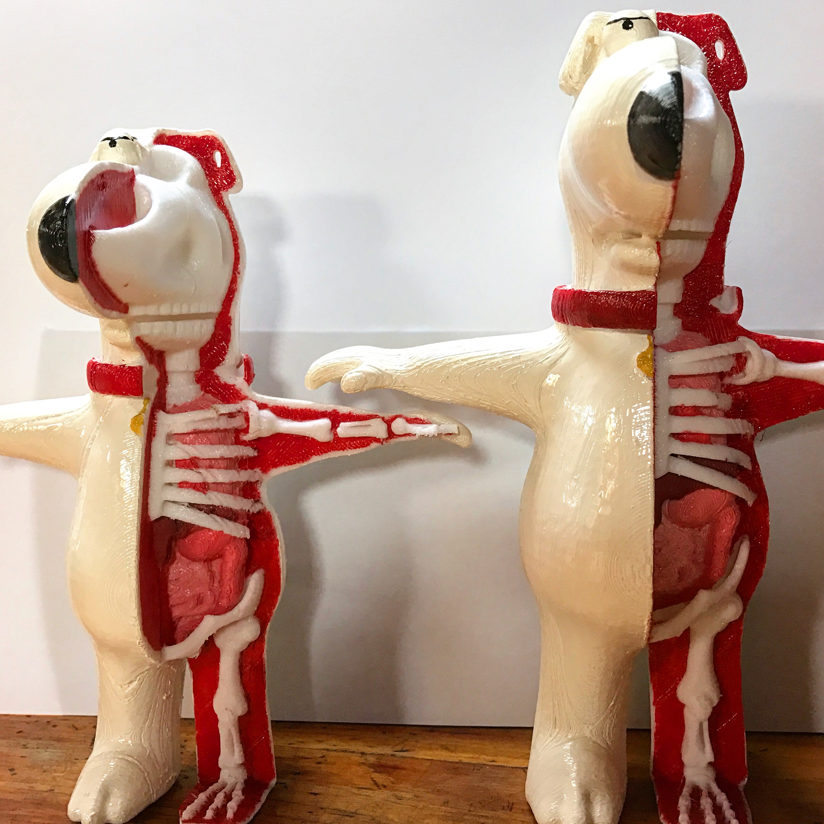 Brian Griffin Anatomy