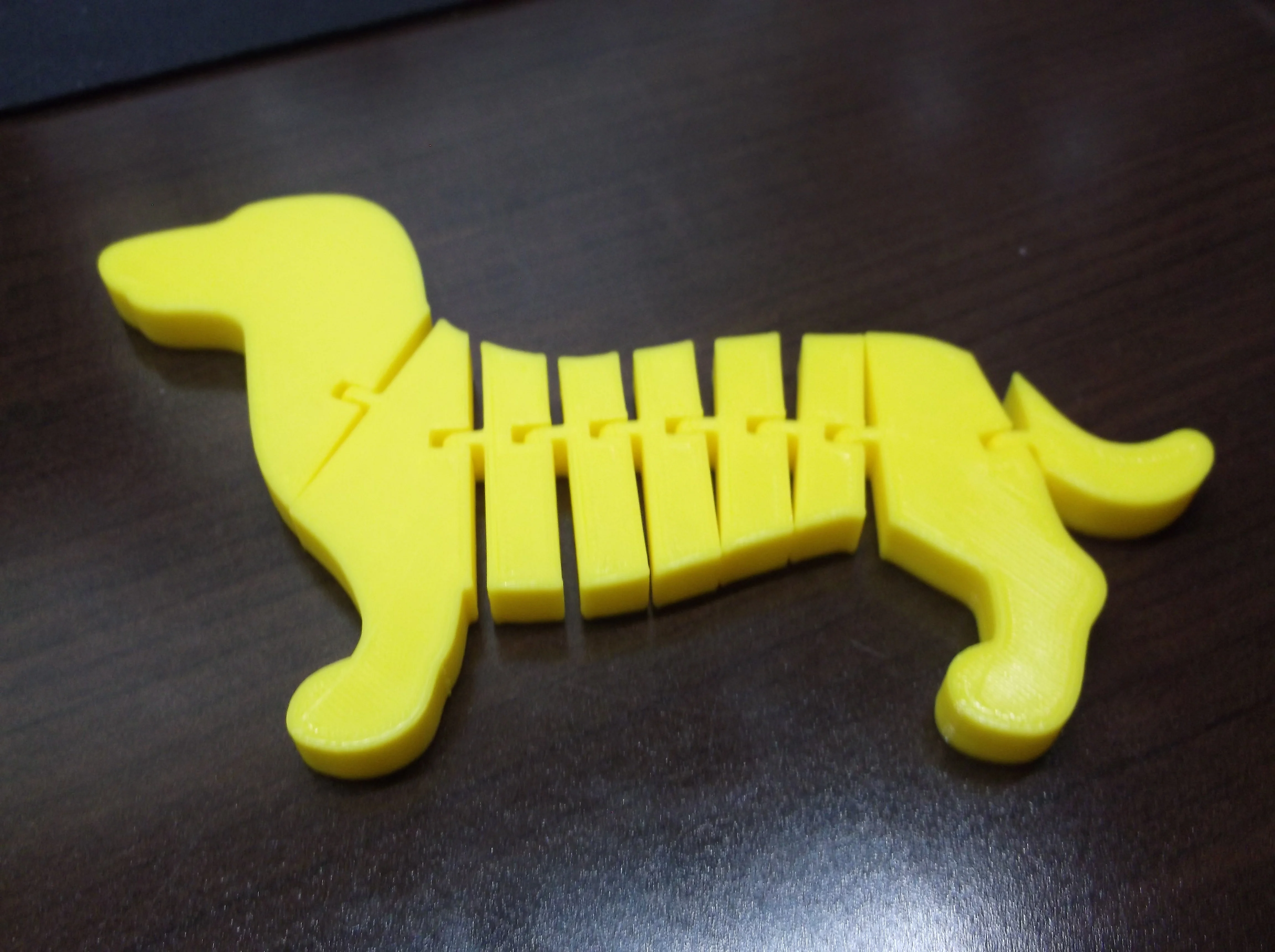 Articulated Dachshund