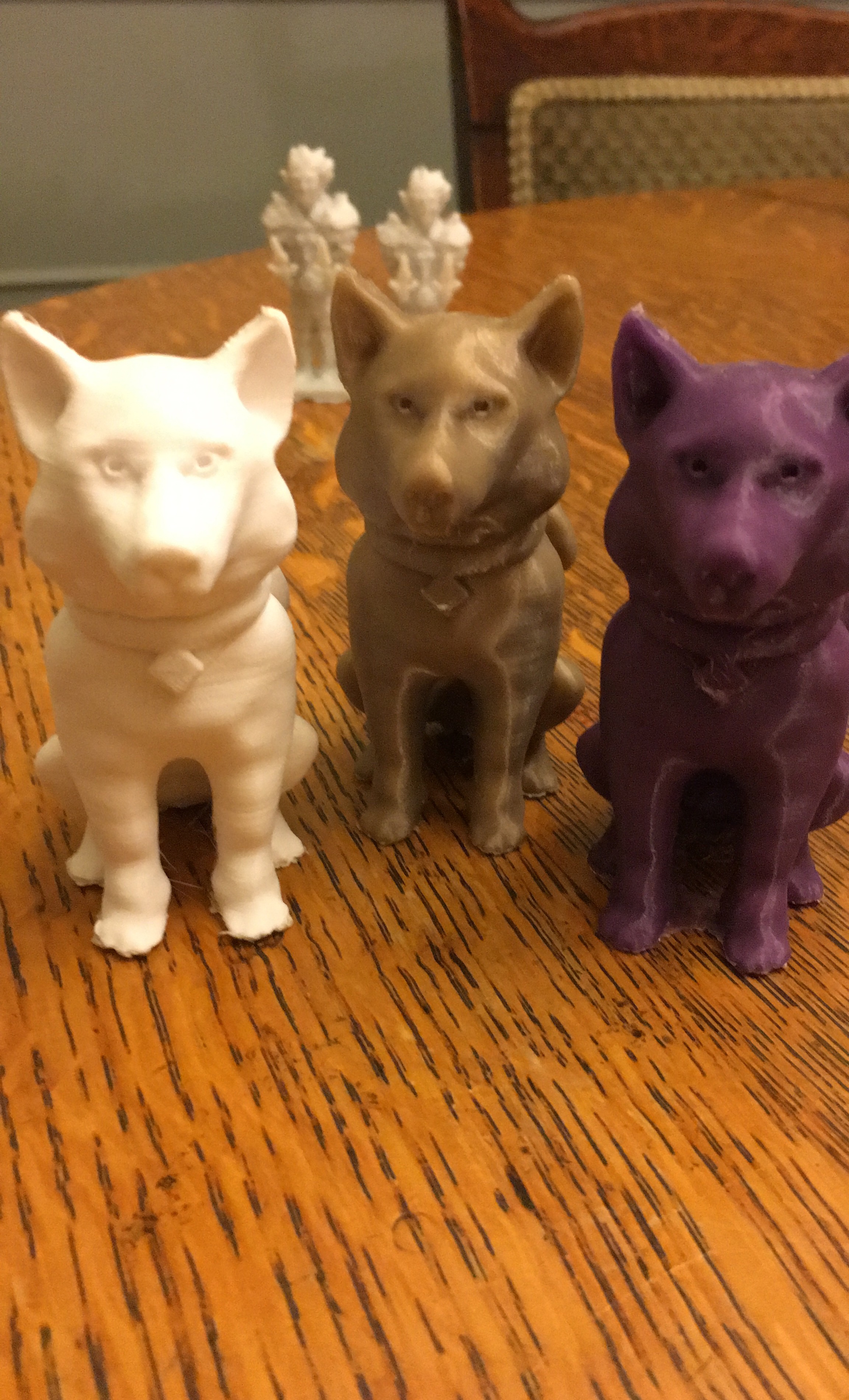 Husky sitting at attention