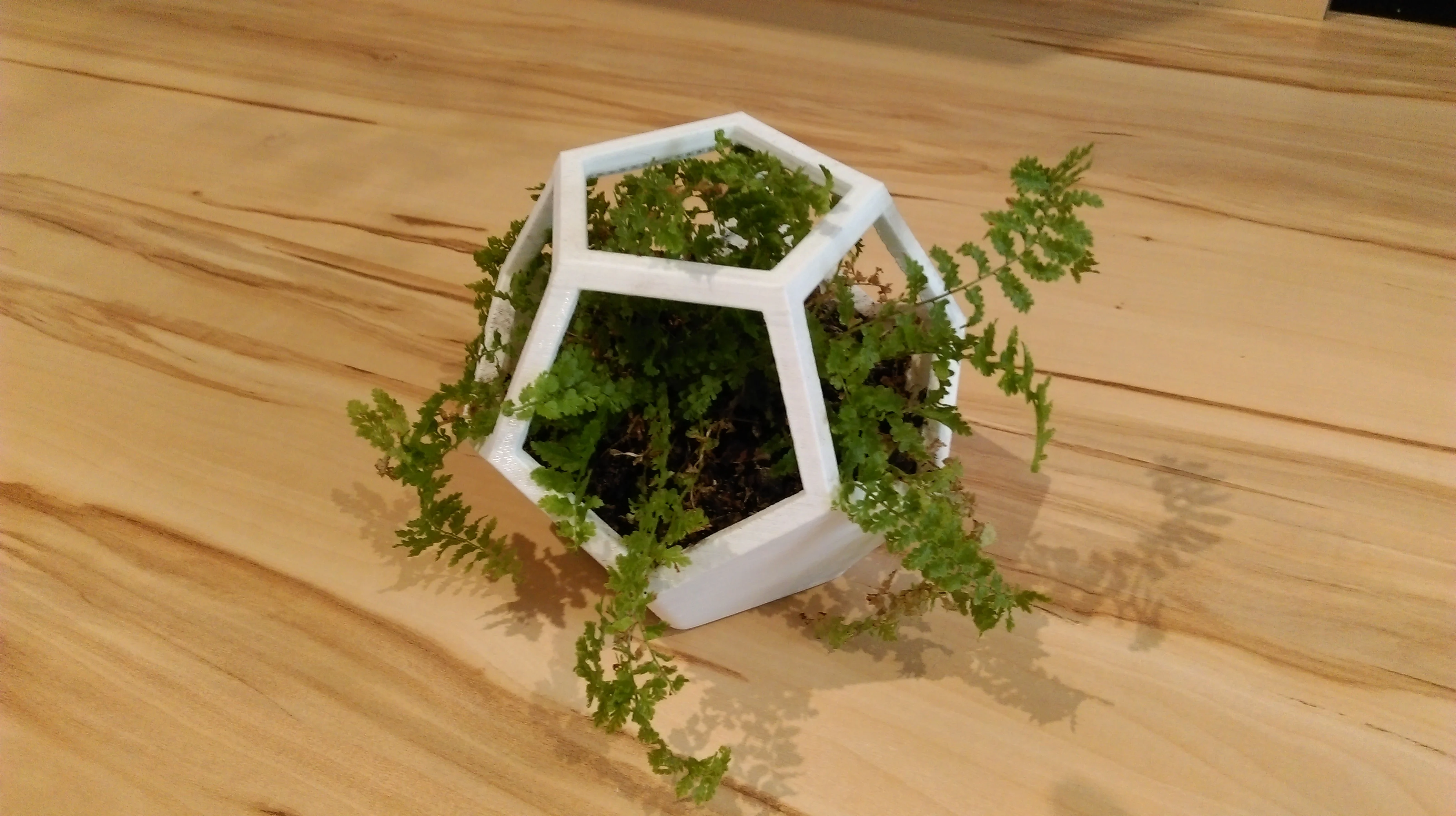 Dodecahedron flower pot