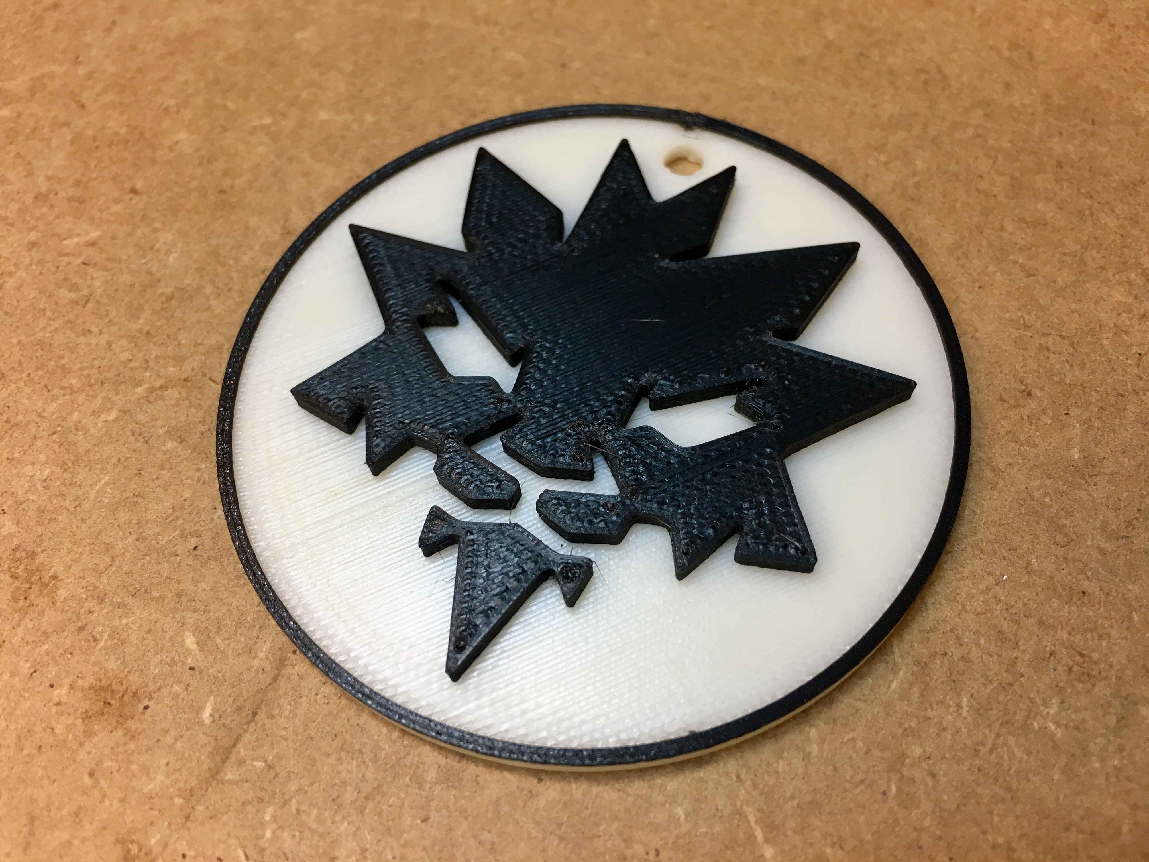 Ninjago Medallion
