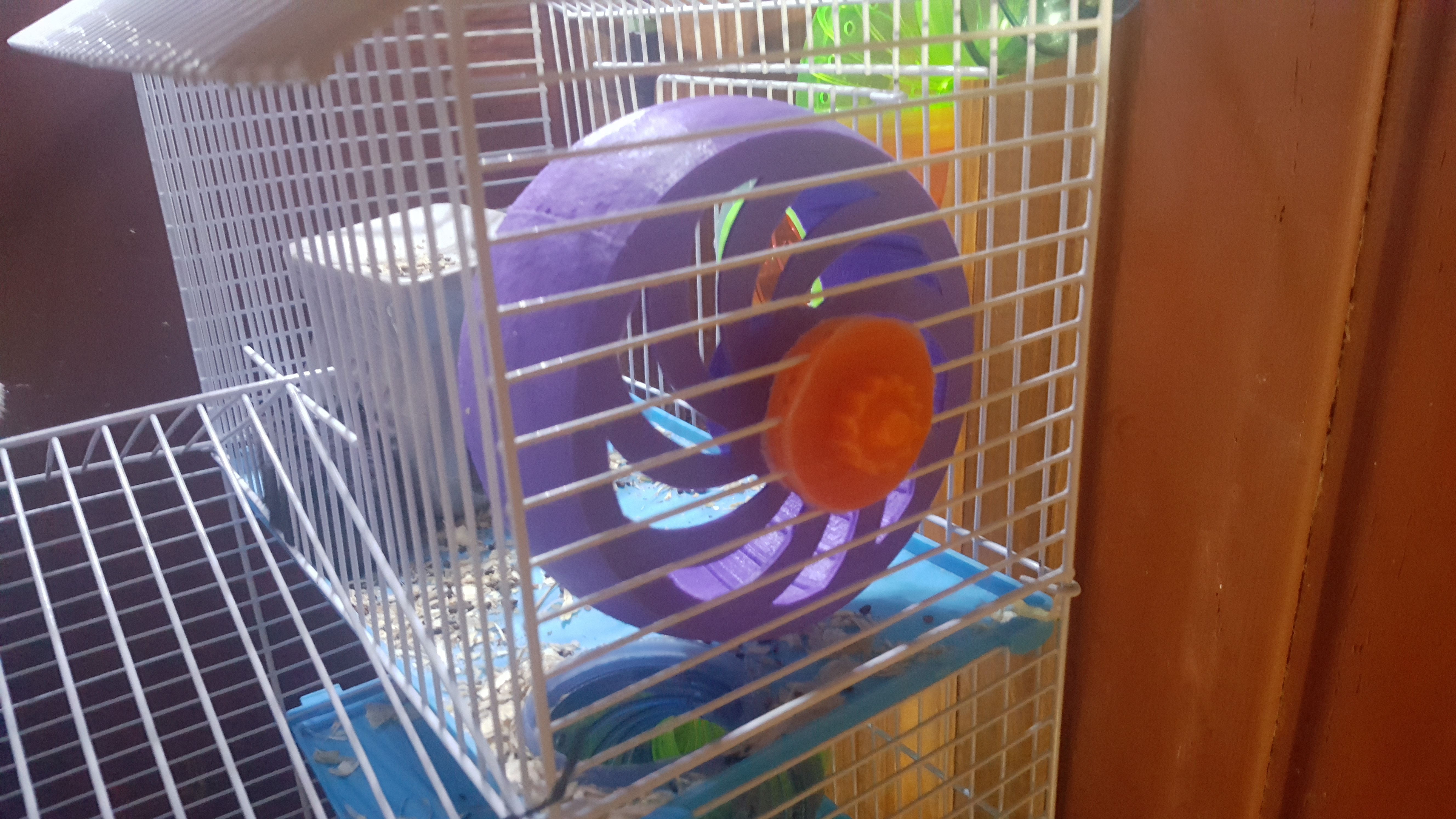 Hamster Wheel Bearing