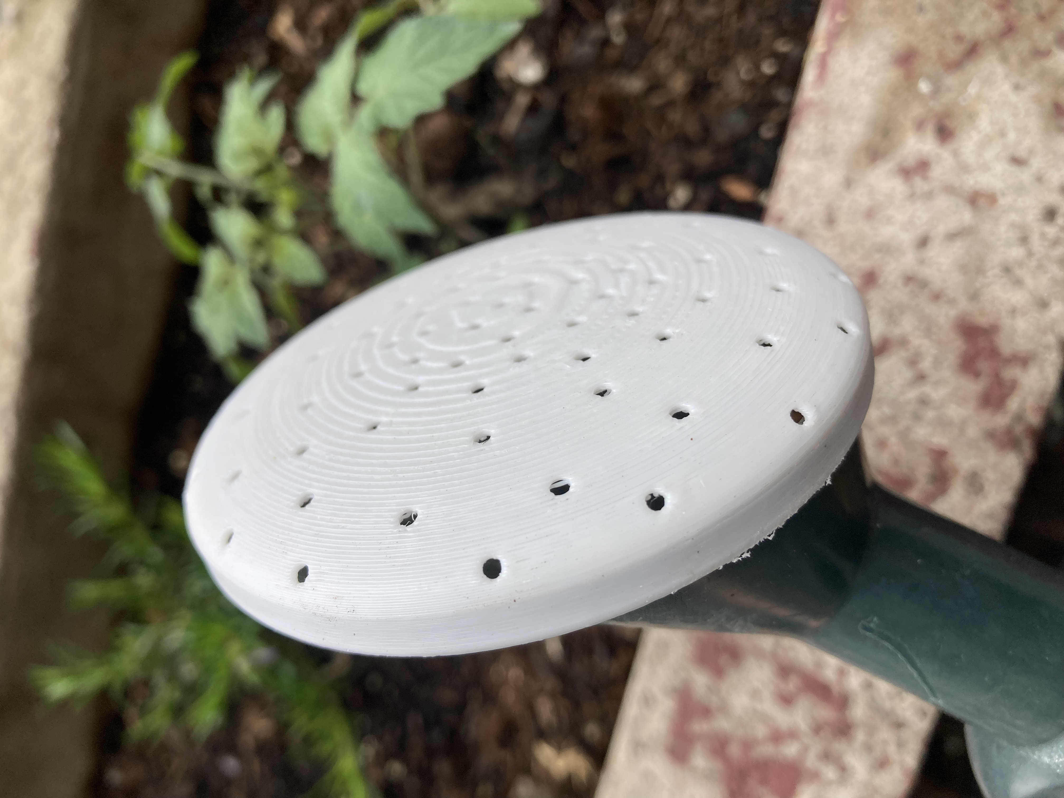 Watering can rose sprinkler