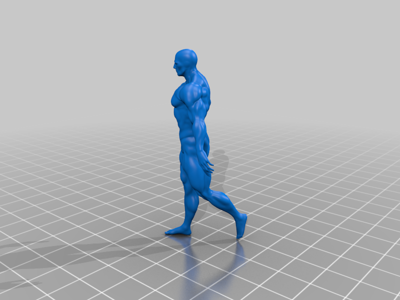 The Surfer