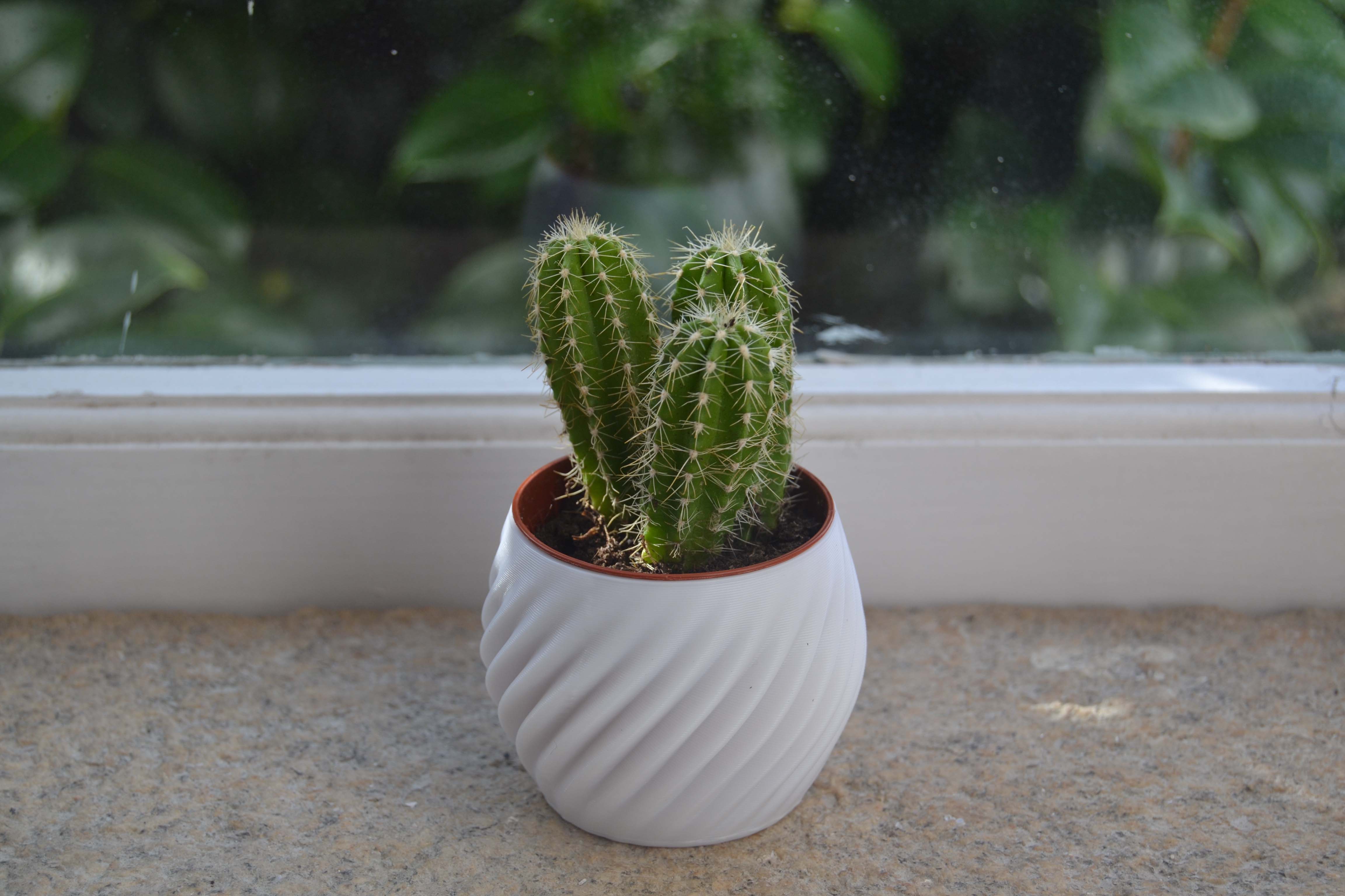 Pot Home Decor