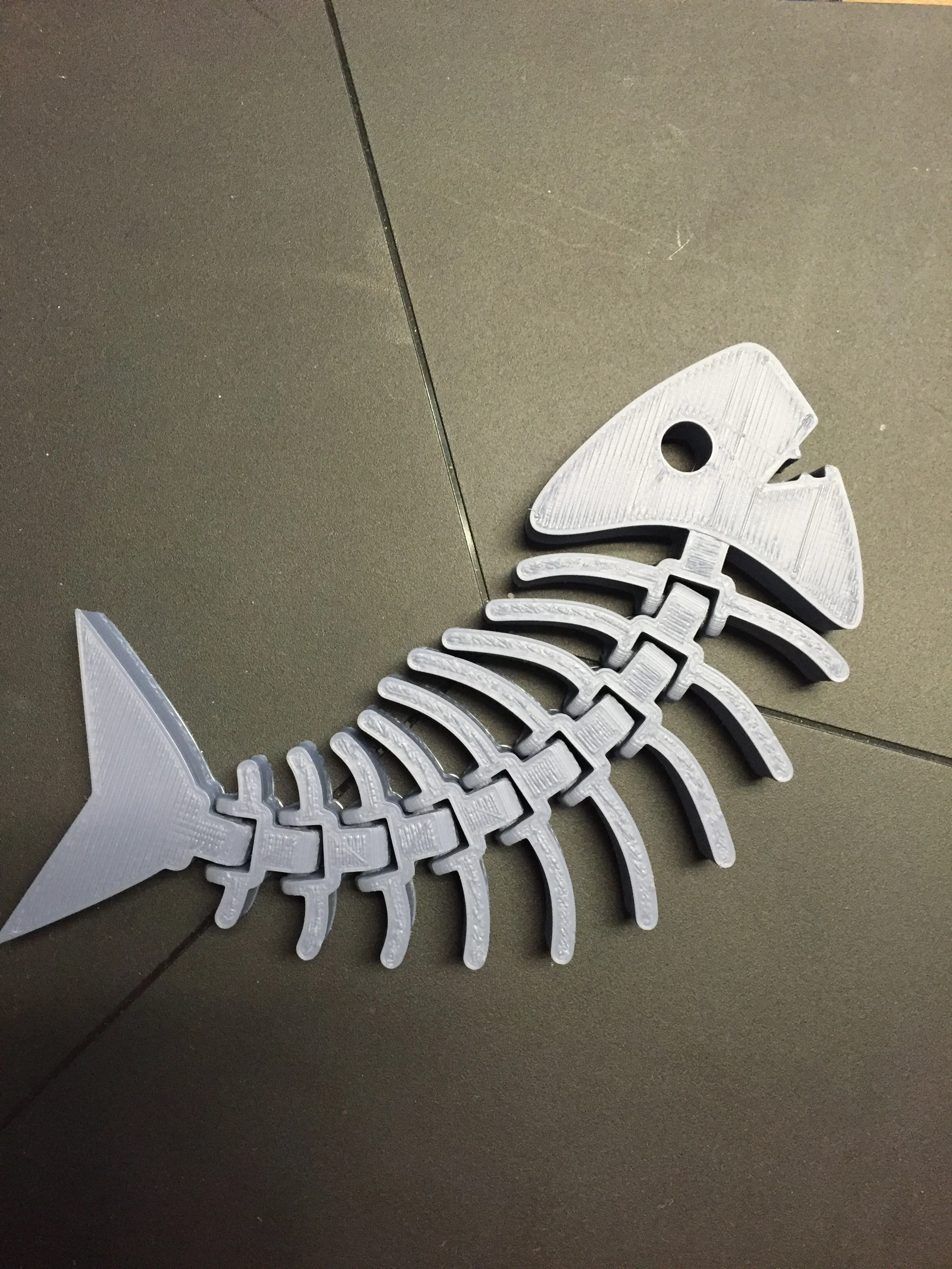 Articulated Fish