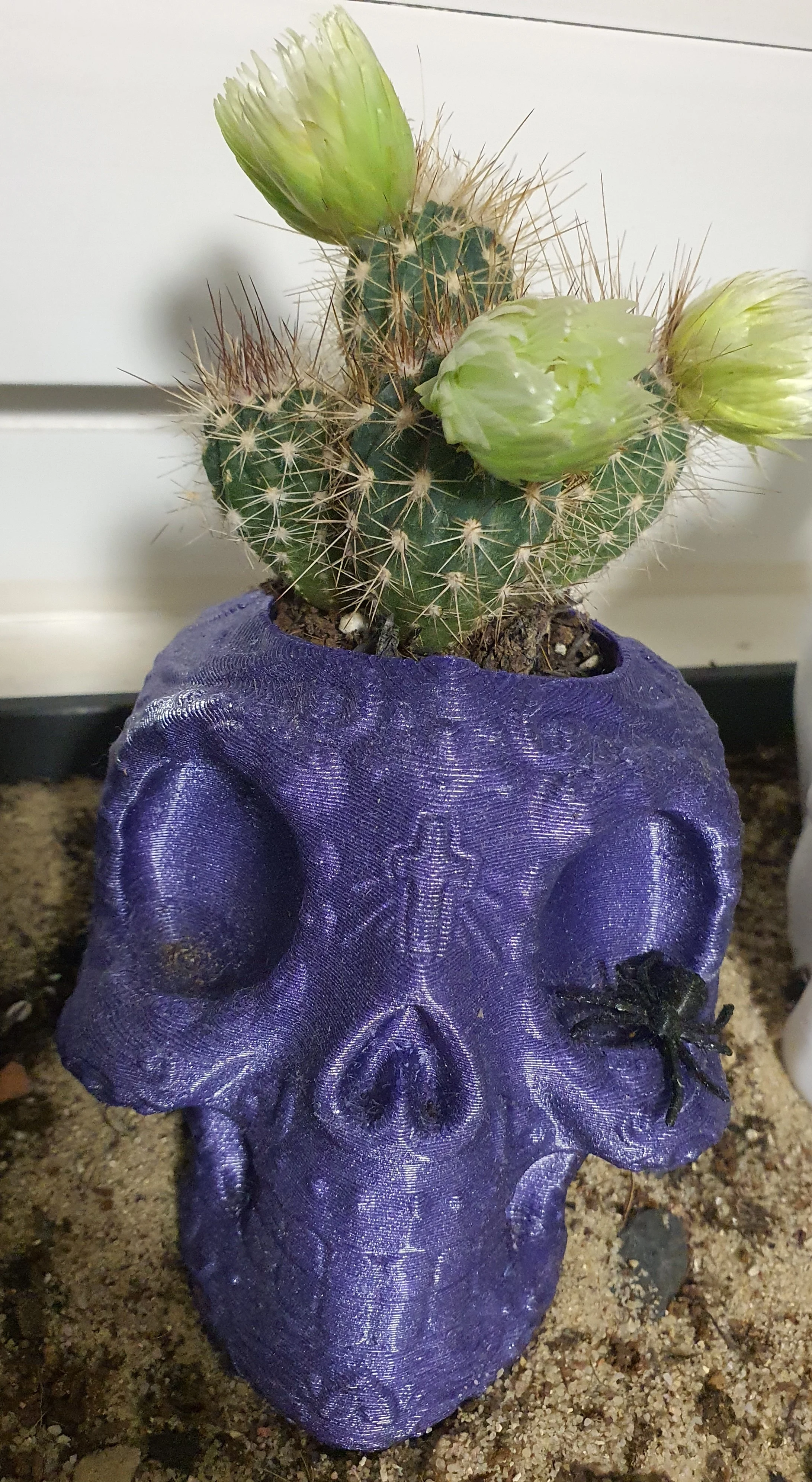 Totenkopf Blumentöpfe - Skull Flower Pots / Planter
