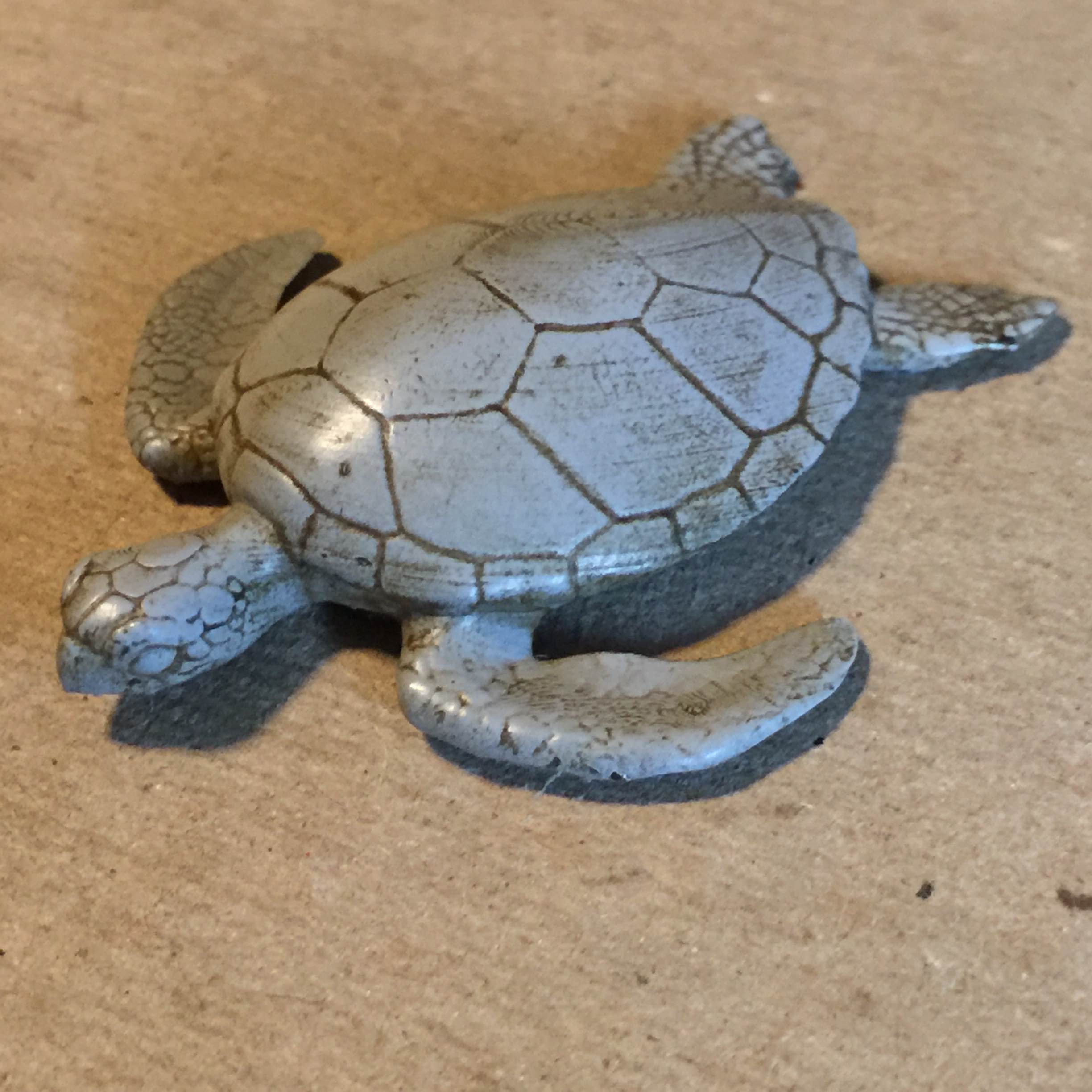 Sea Turtle