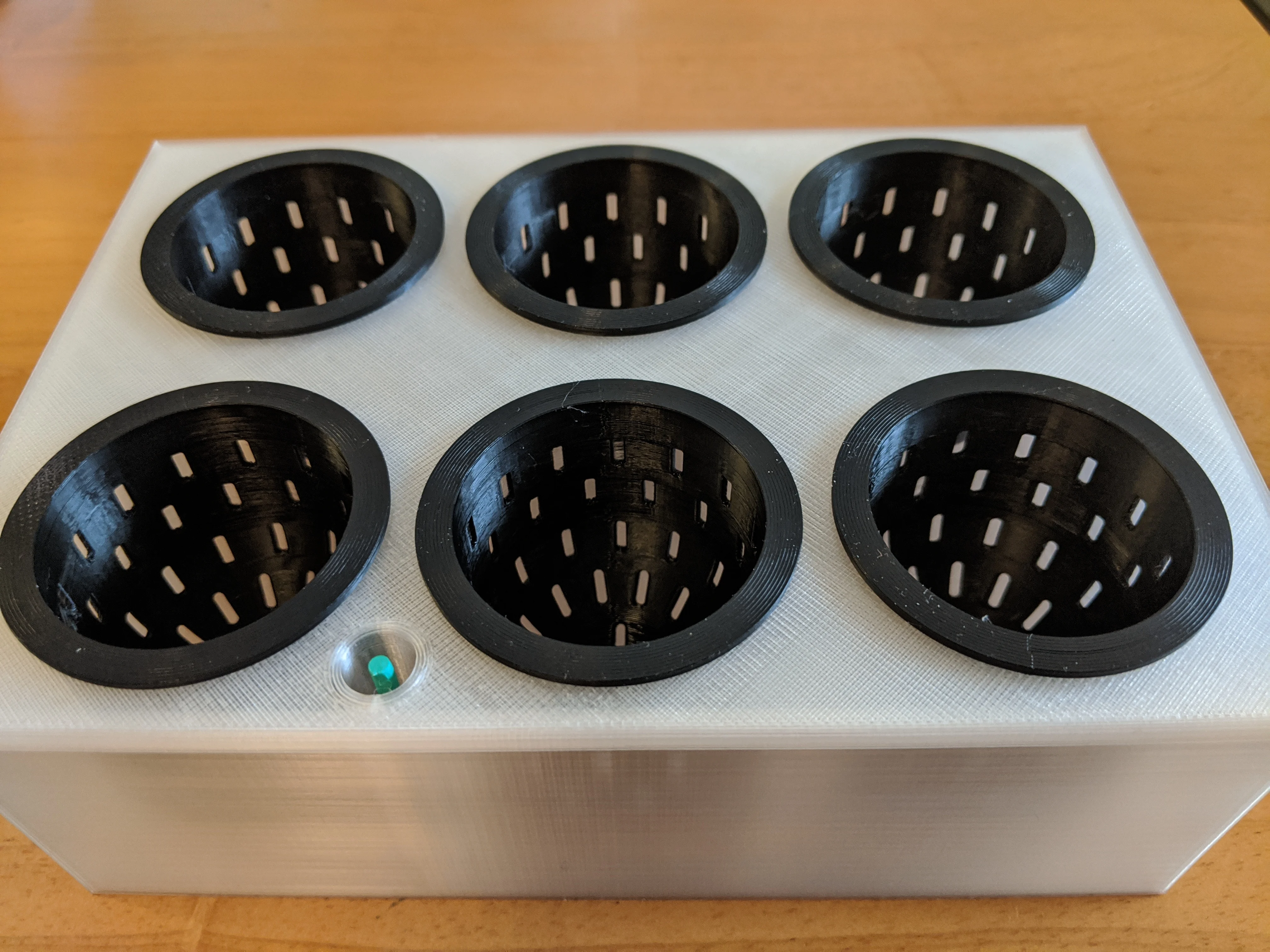Hydroponic Garden