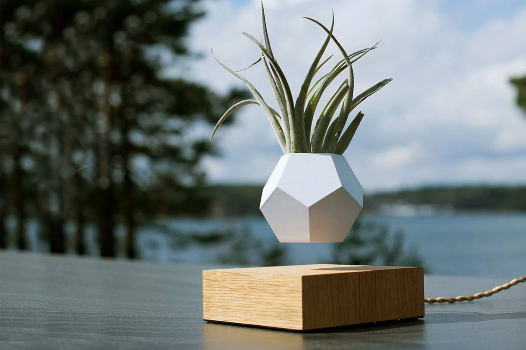 Levitating Planter