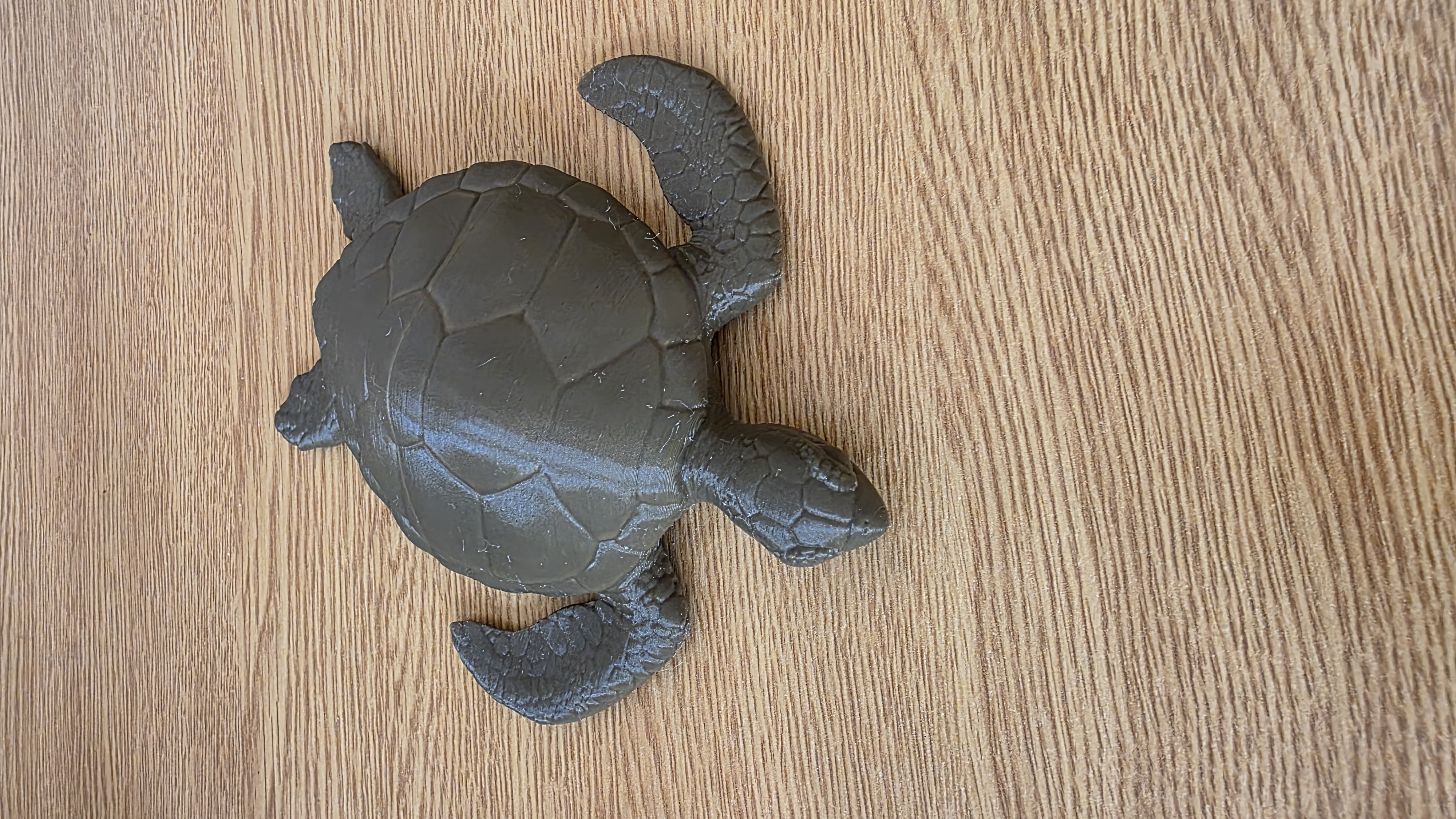 Sea Turtle Sectioned Remix - Tortuga marina seccionada