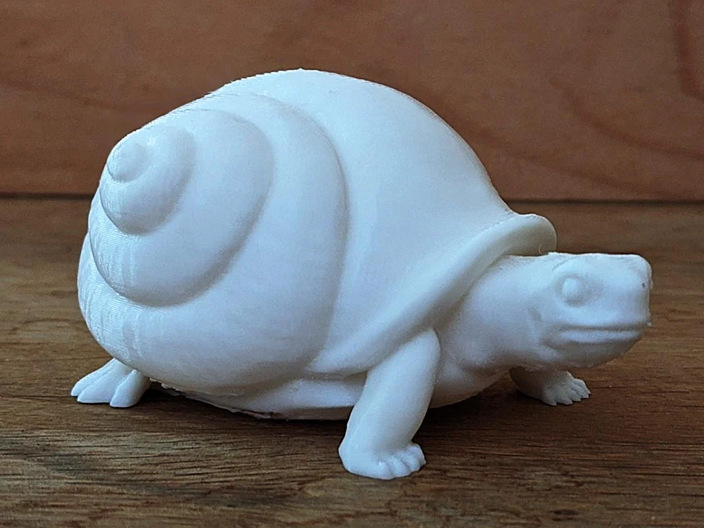 Snail Turtle