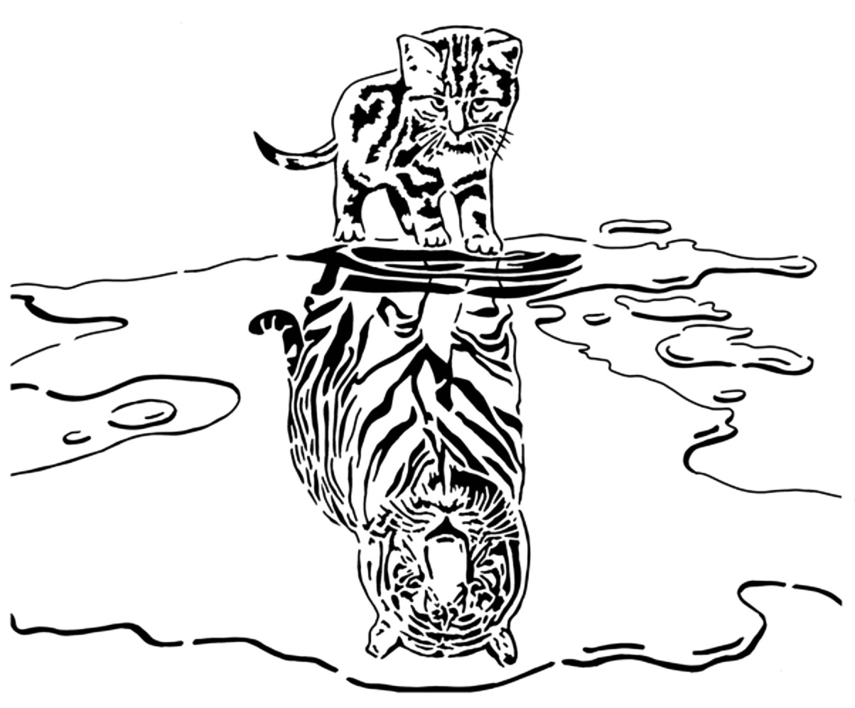 Cat reflection stencil