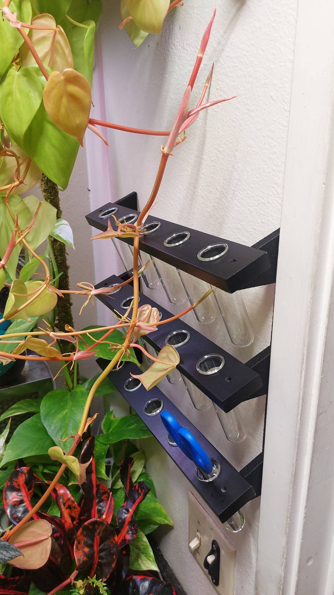 Plant Propagation Stand