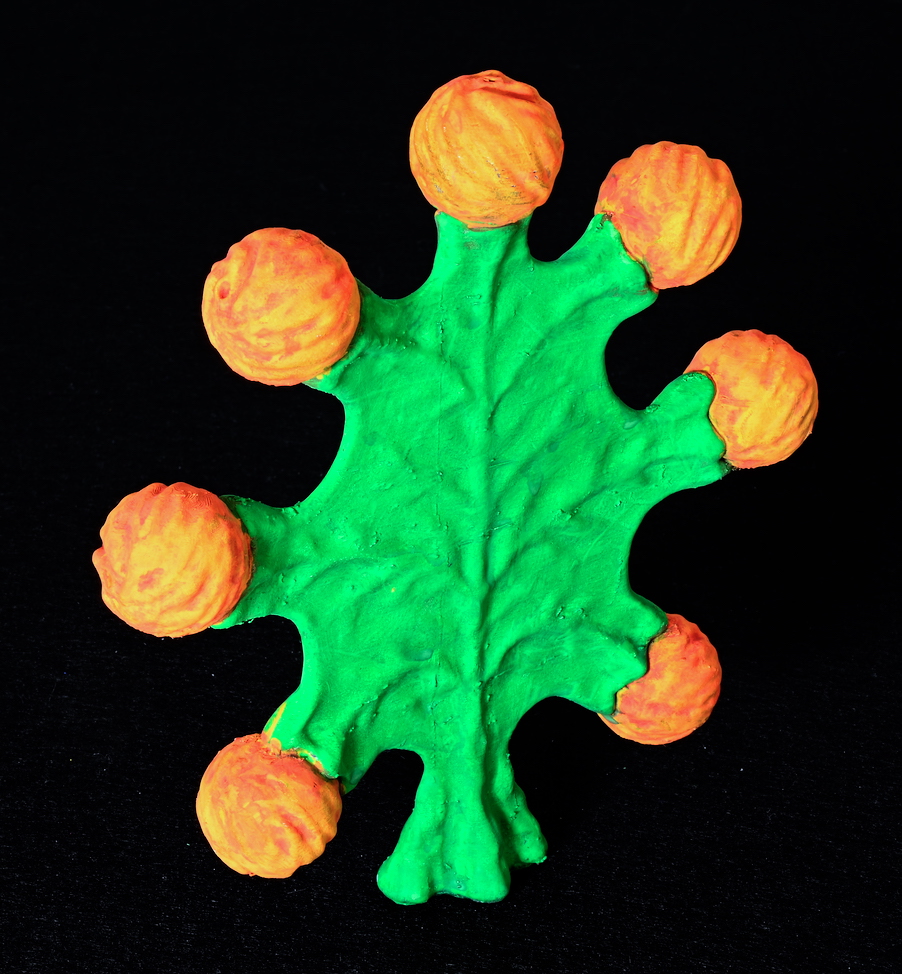 Alien Plant Holly Melon