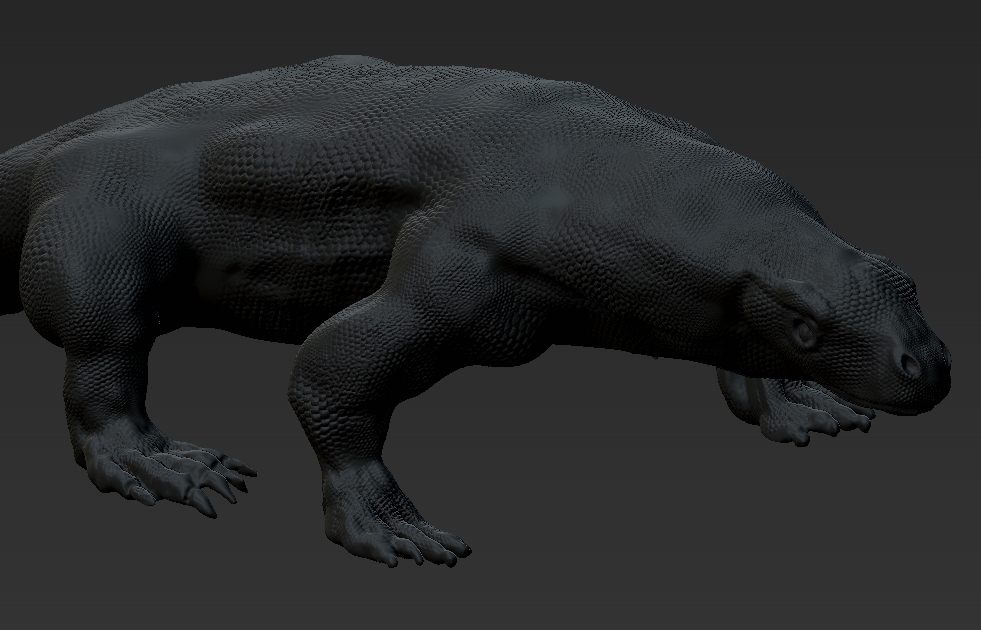 komodo dragon